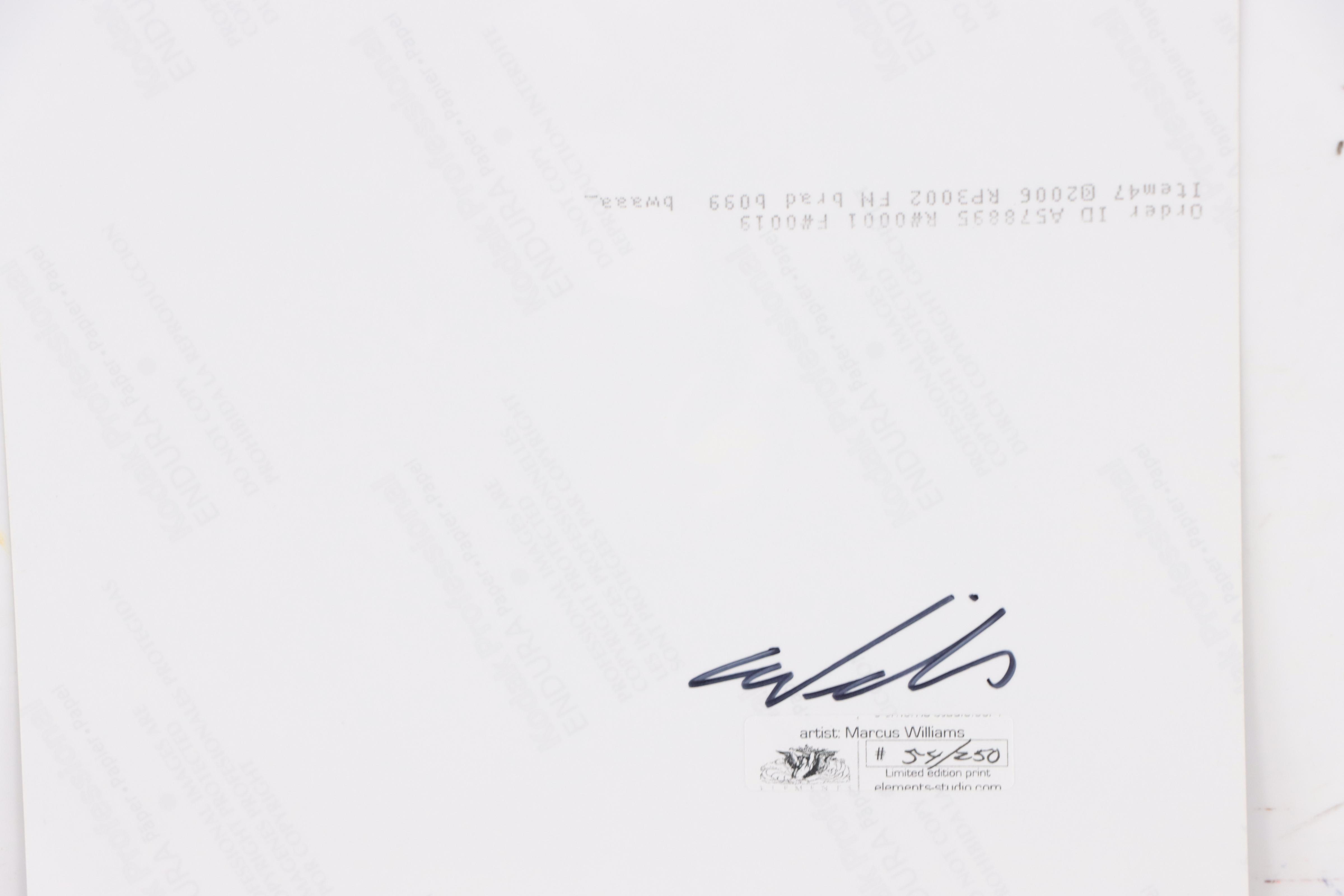 Marcus Williams Silver Geltain Photograph of Male Nude, 21st Century