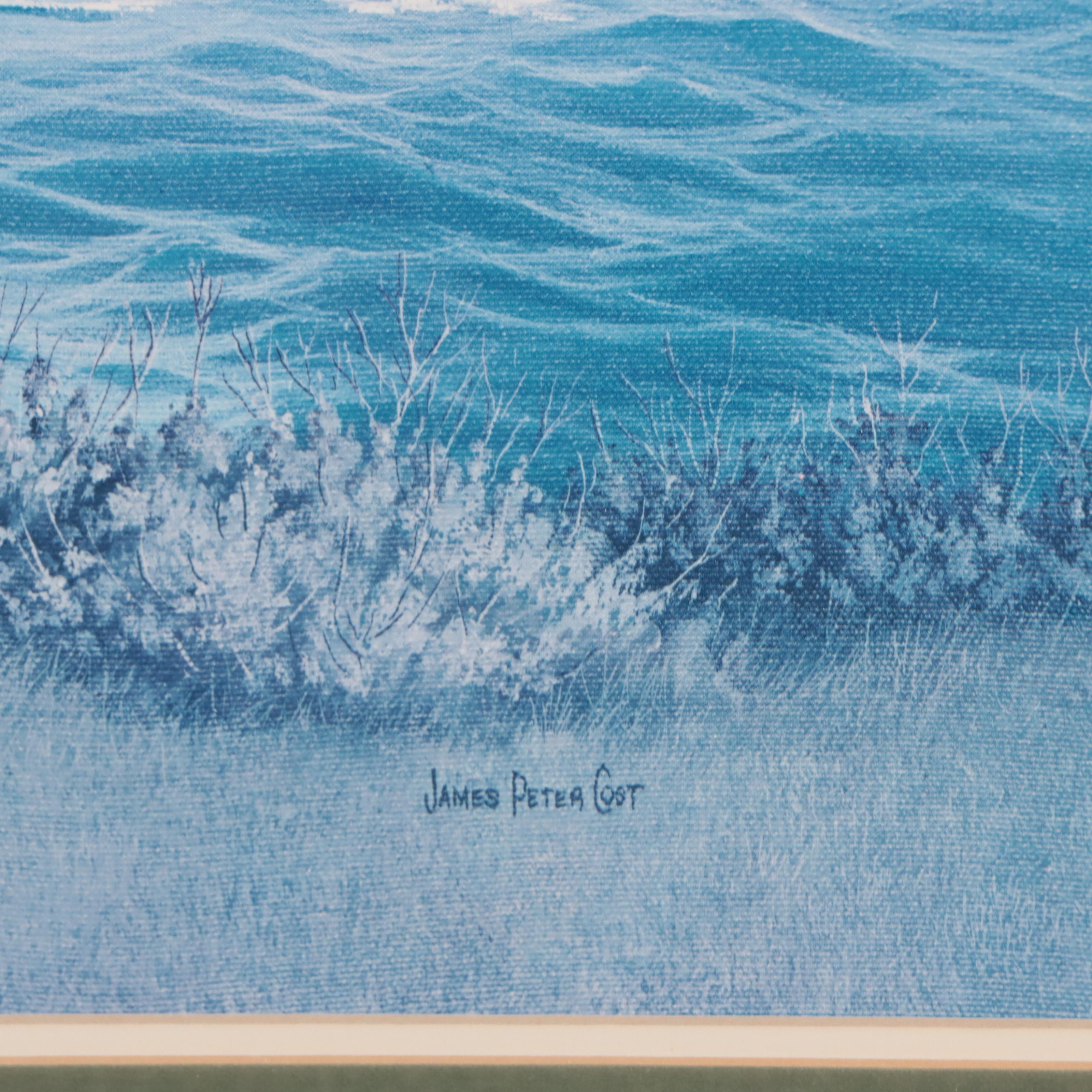 Offset Lithograph After James Peter Cost of Coastal Landscape, 21st Century