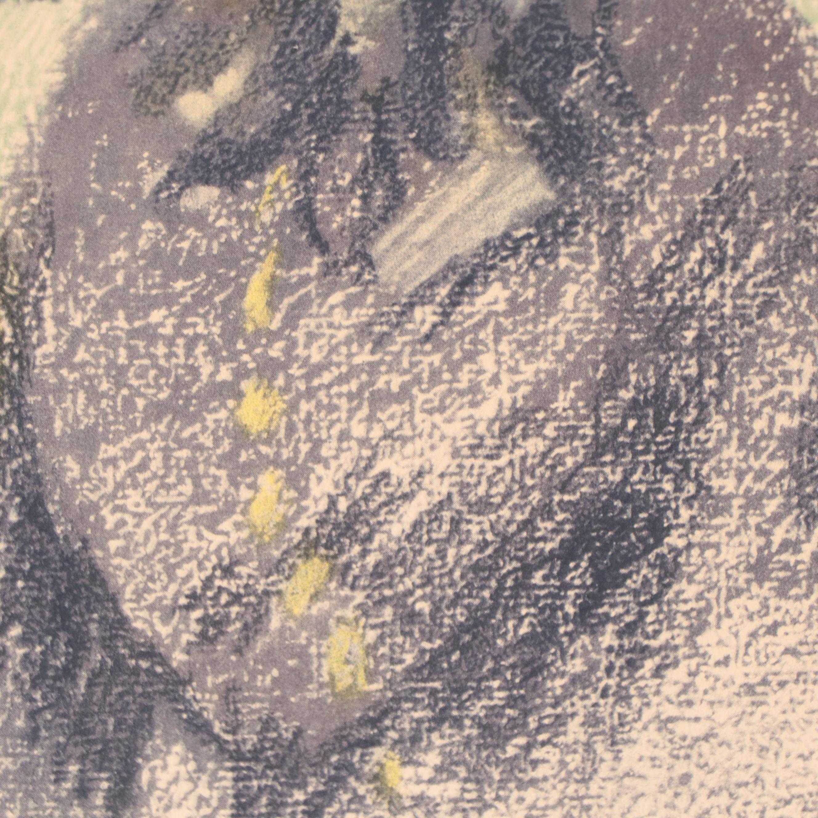 Halftone After Pierre-Auguste Renoir "Young Woman With A Veil"