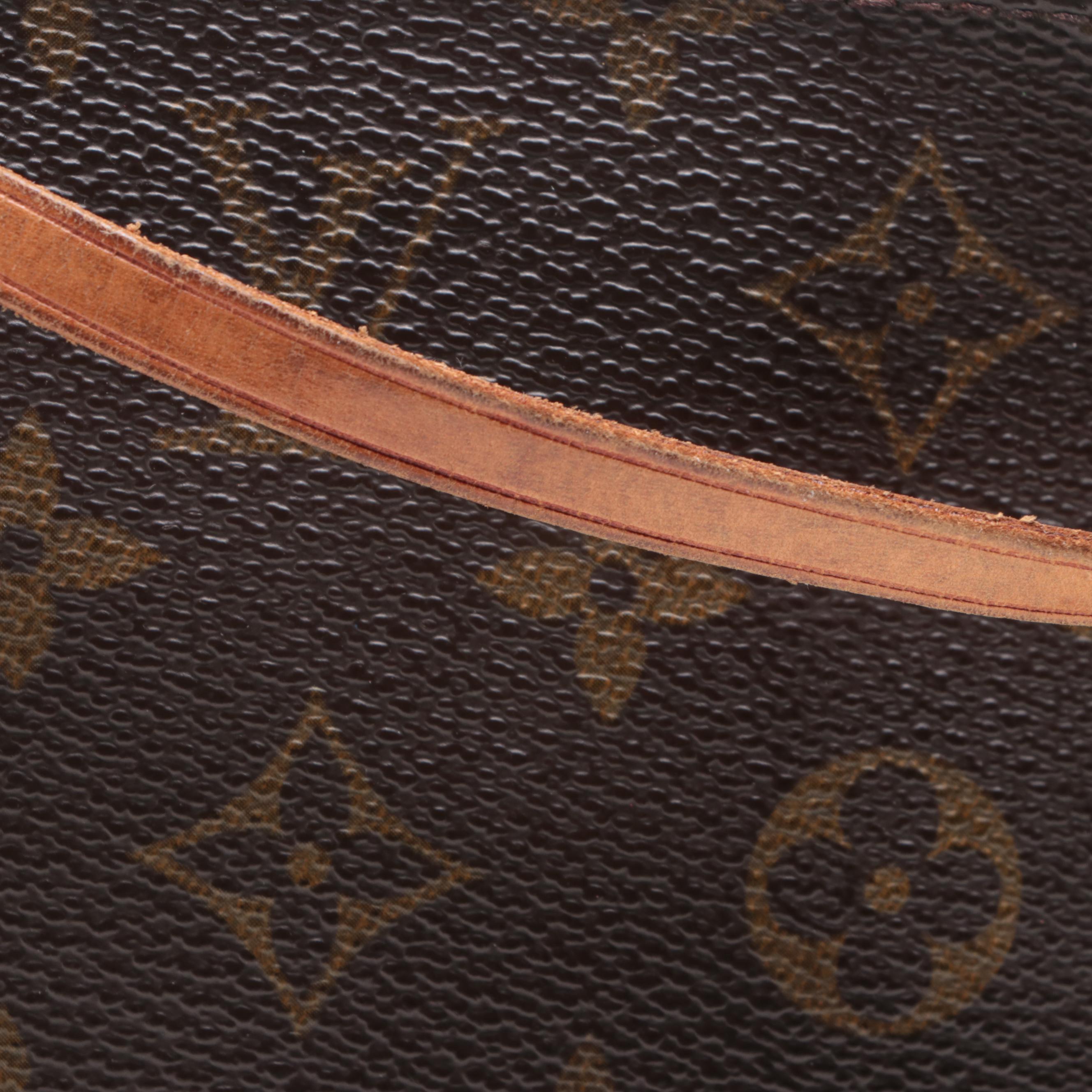 Louis Vuitton Pochette Accessoires in Monogram Canvas