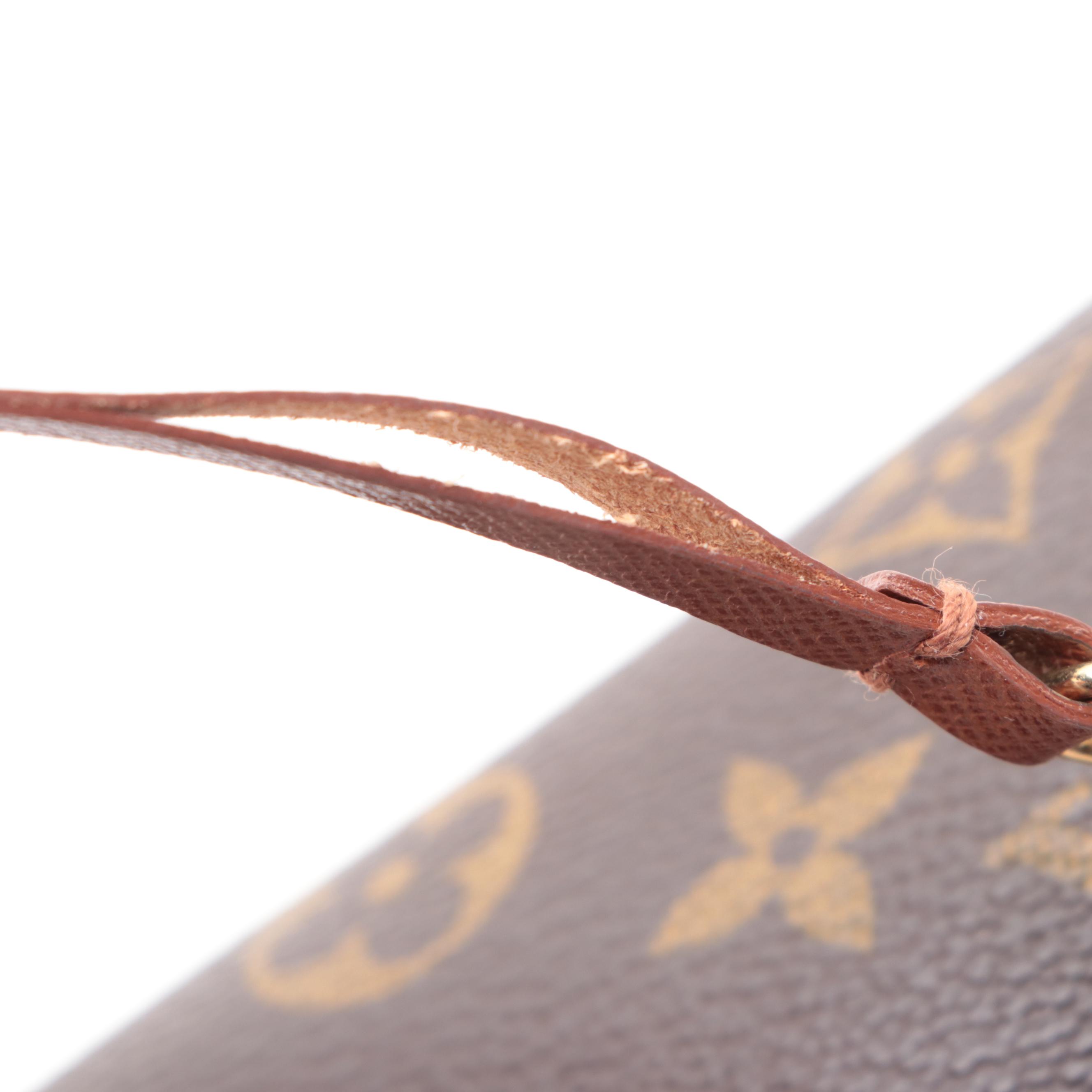 Louis Vuitton Papillon Pochette in Monogram Canvas