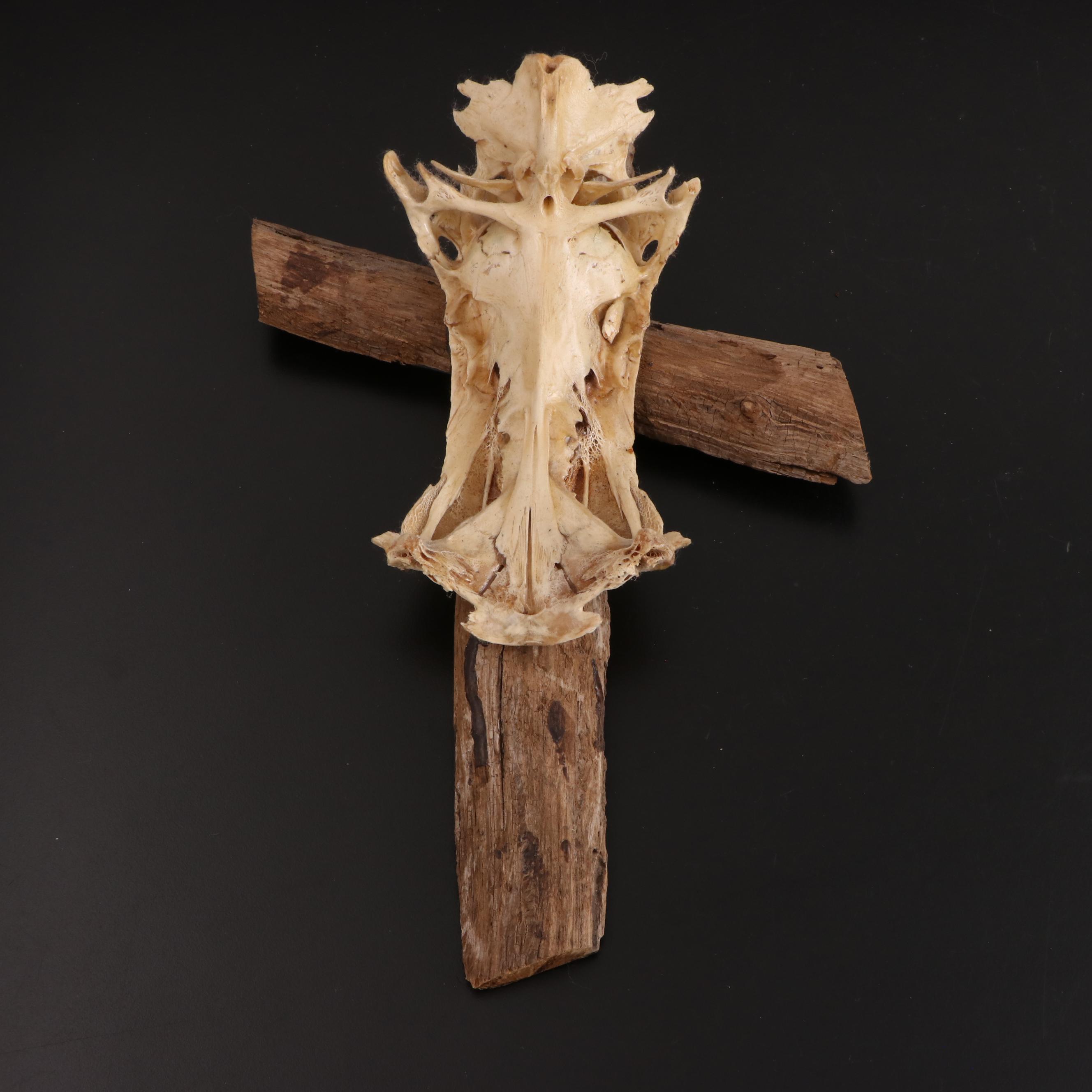 Mother-of-Pearl, Sea Shell, Abalone, Fish Bone and Plastic Crosses