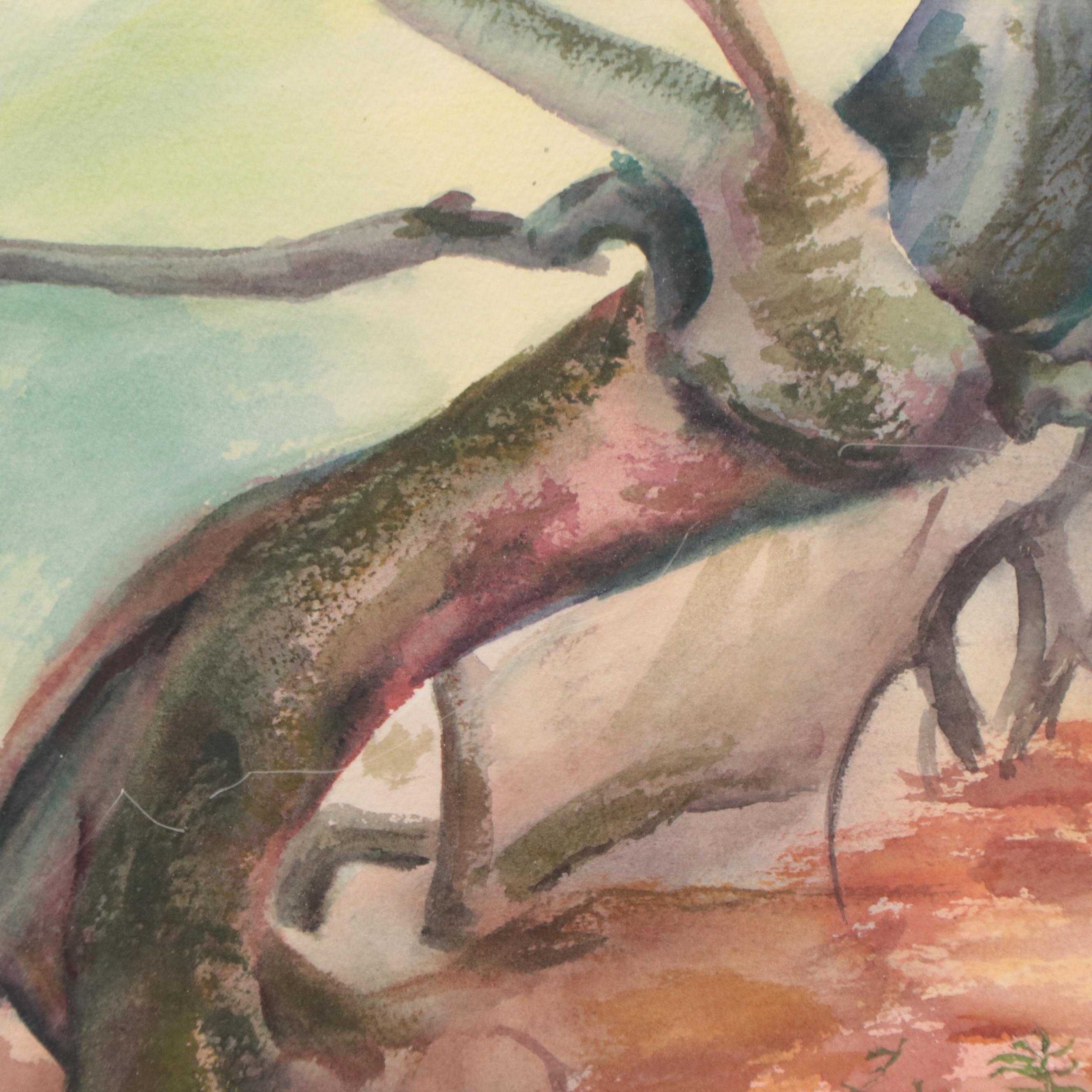 Katrina Halter Watercolor Painting of Gnarled Tree, Late 20th Century