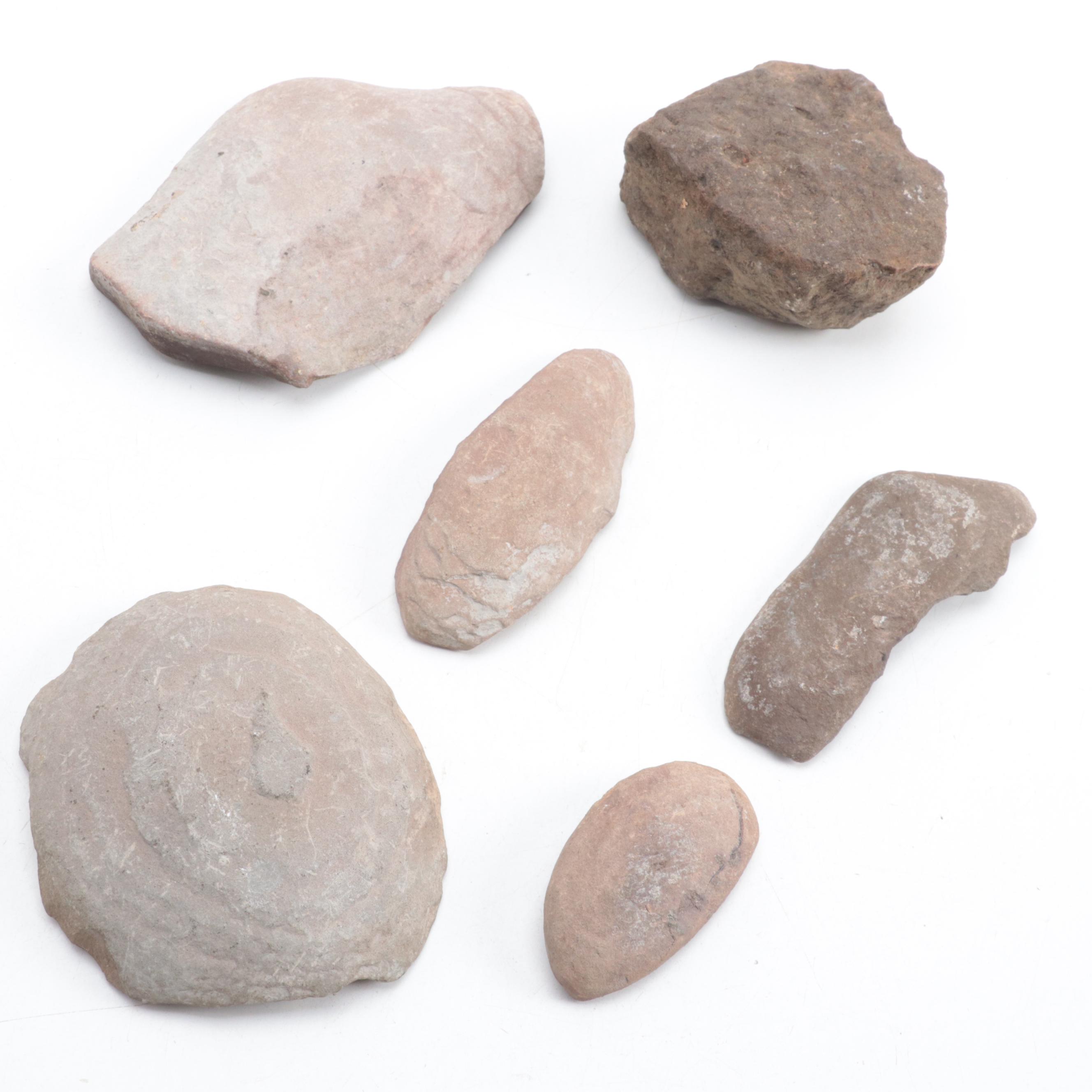 Ammonoid, Petrified Wood, Calamite, More Plant Fossils and Mineral Specimens