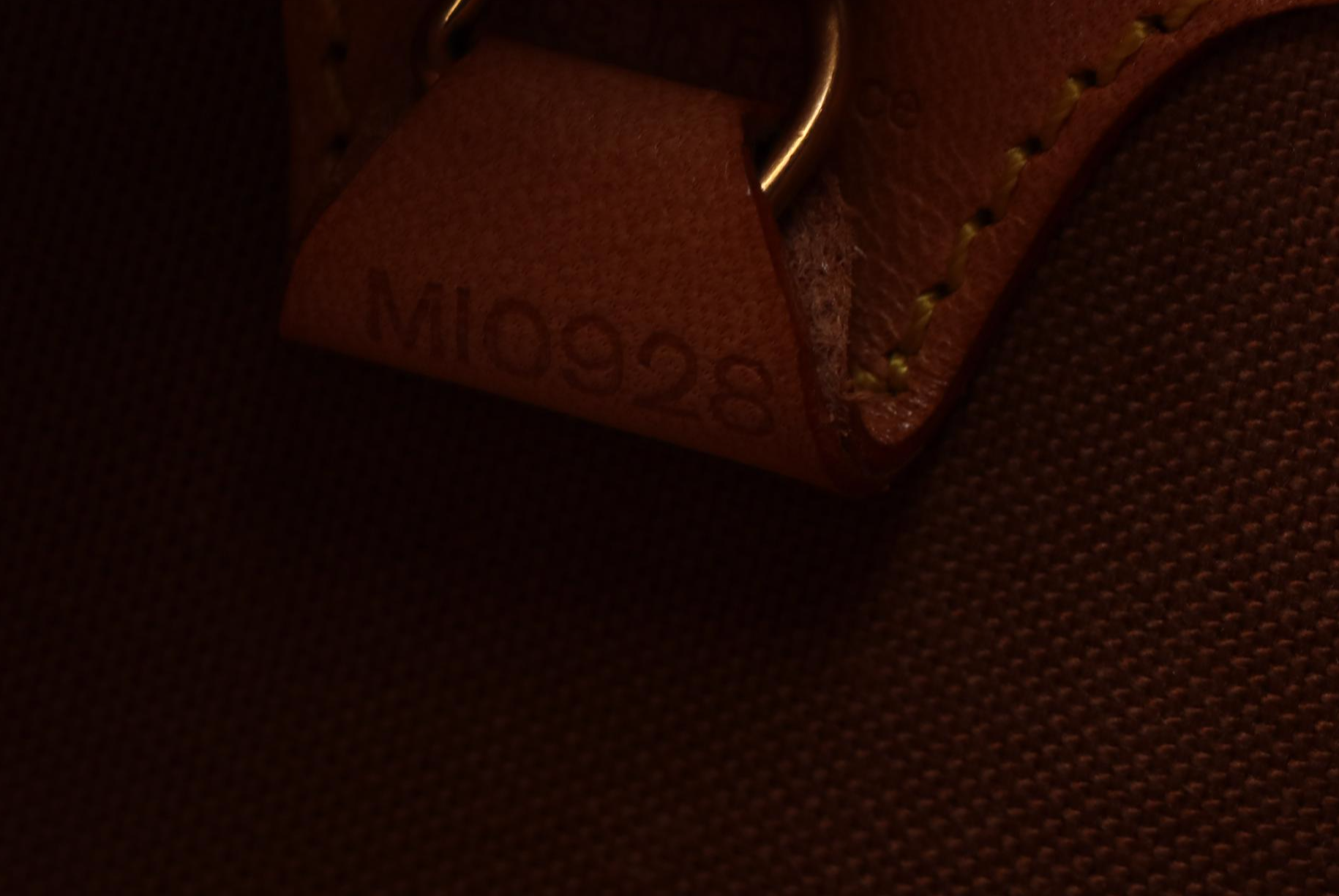 Louis Vuitton Ellipse MM Bag in Monogram Canvas