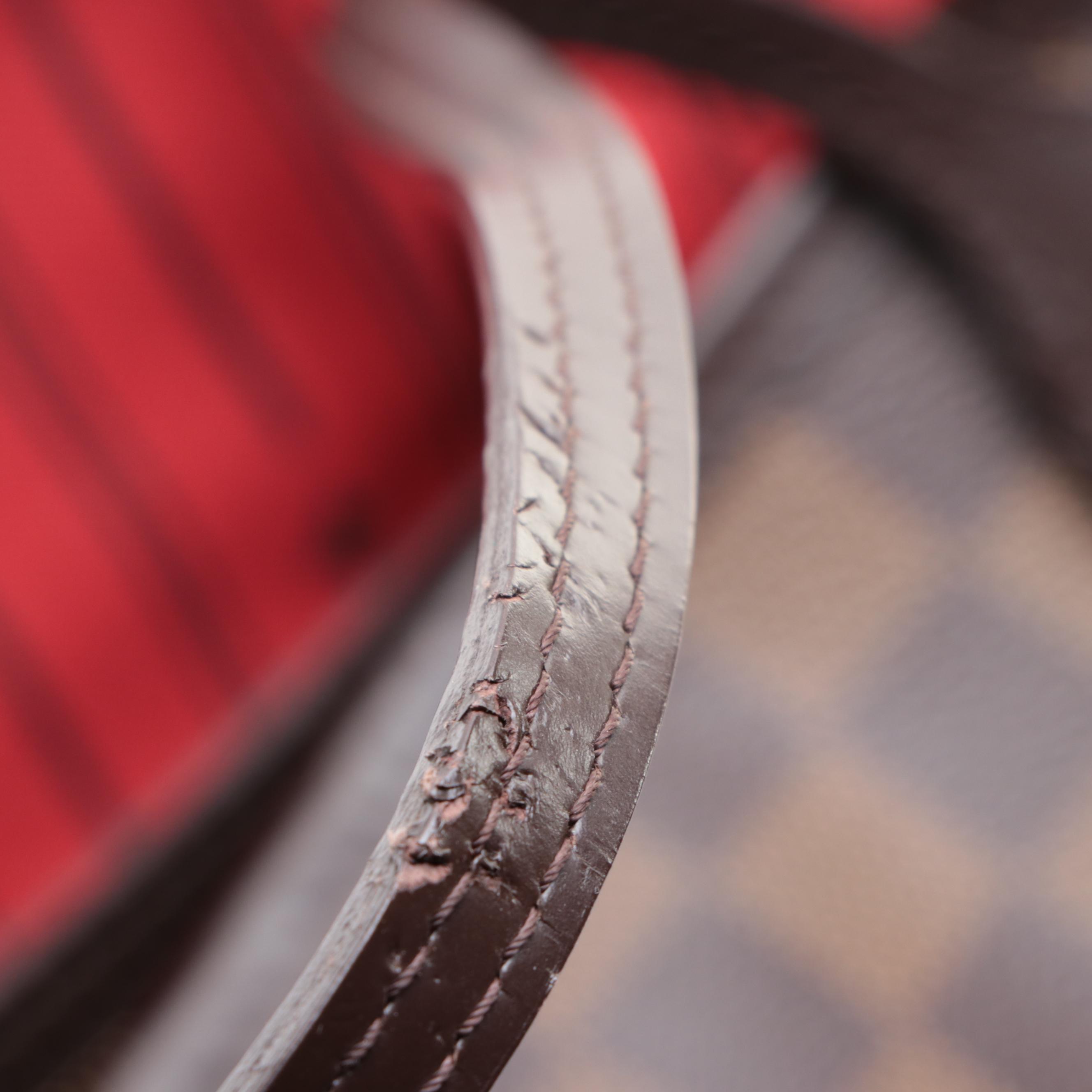 Louis Vuitton Neverfull MM in Damier Ebene Canvas and Dark Brown Leather