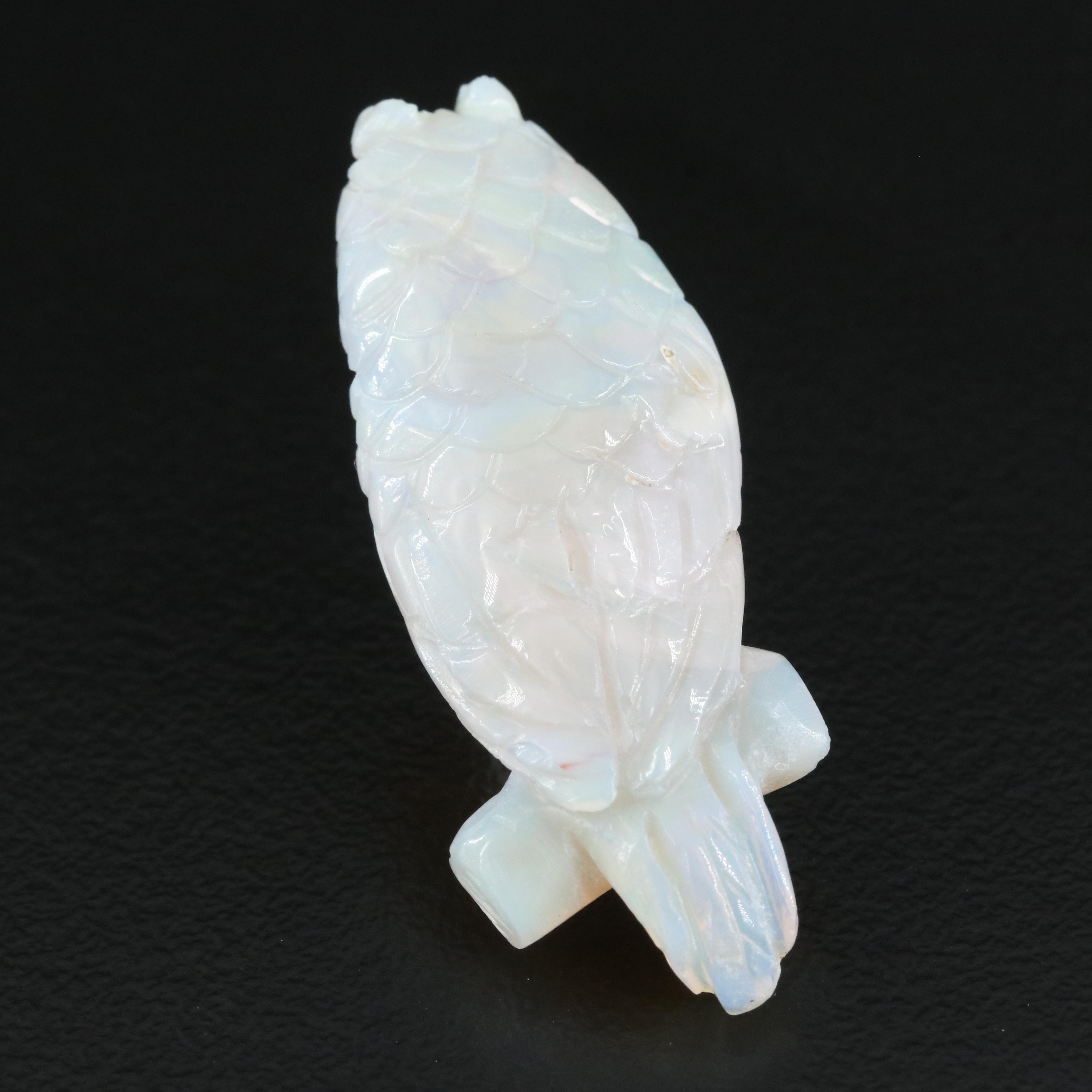 Loose 14.11 CT Carved Opal
