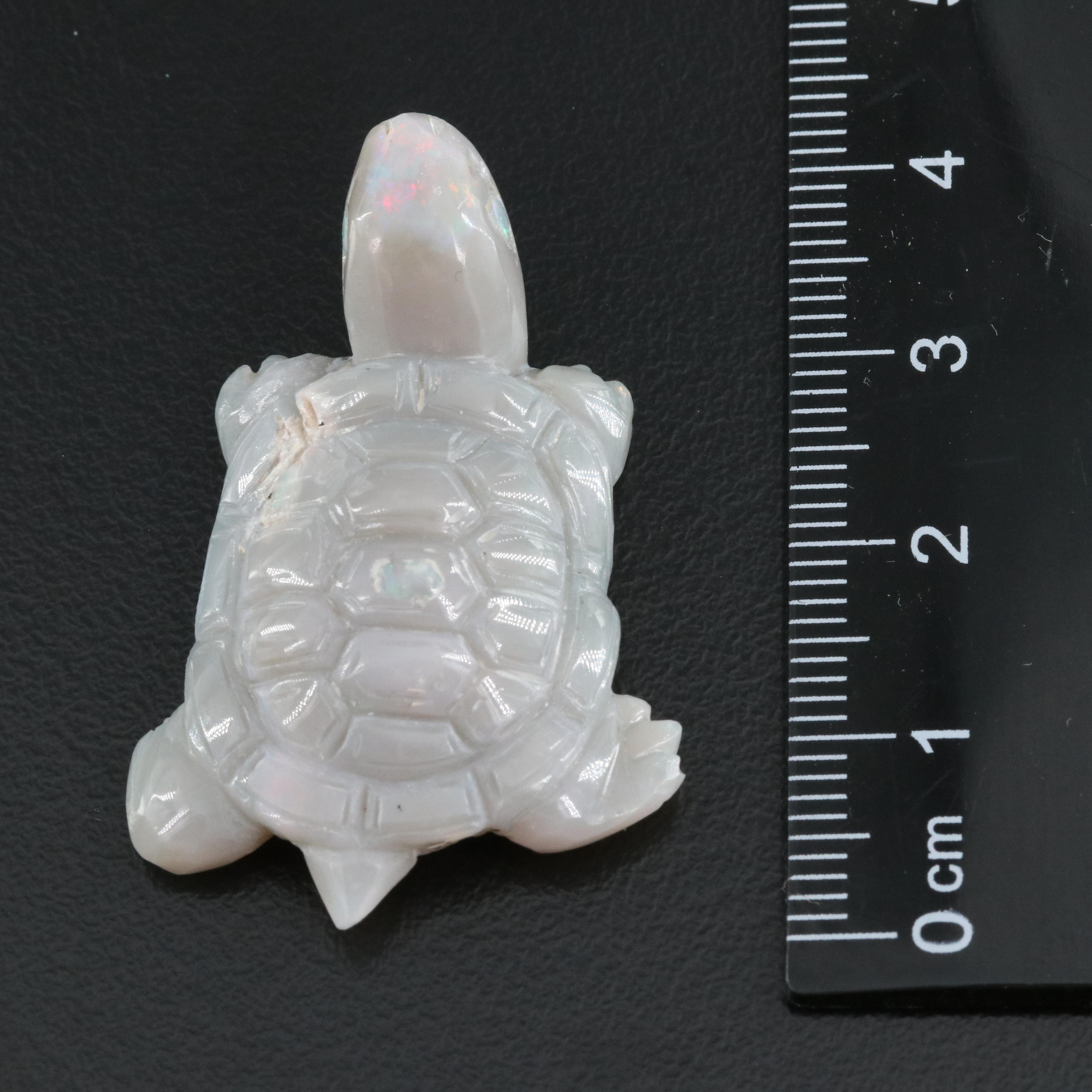 Loose 35.42 CT Carved Opal