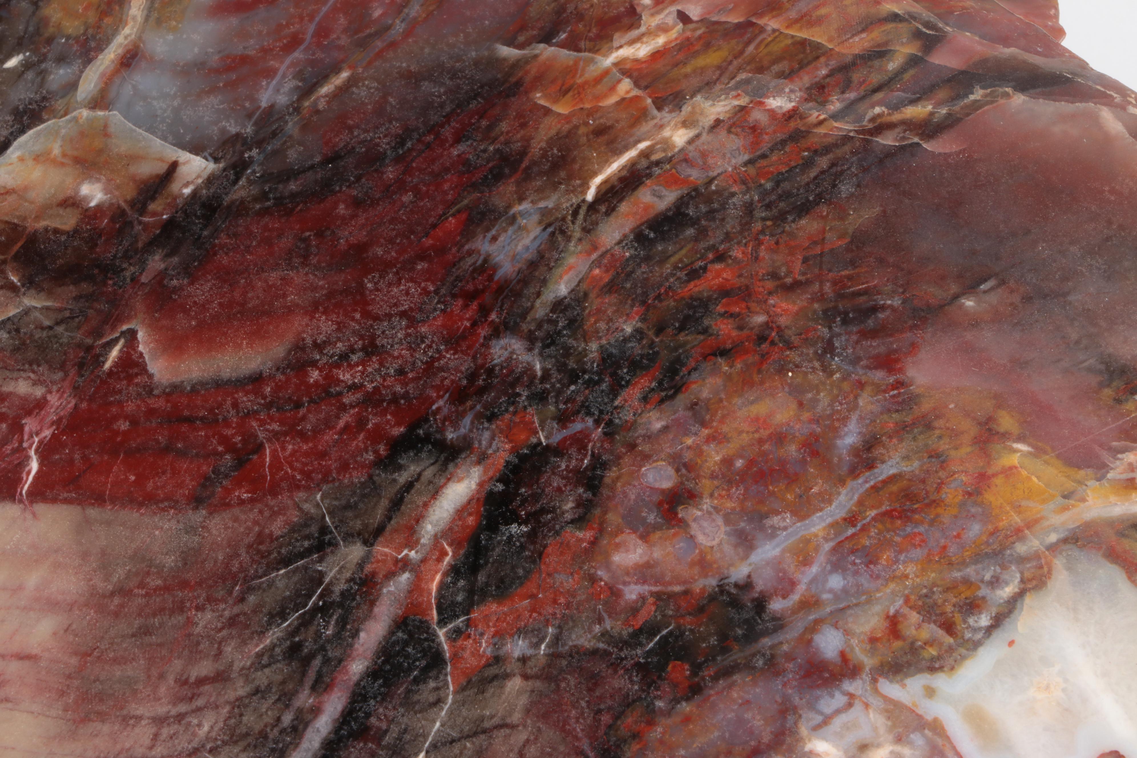 Polished Petrified Wood Slab