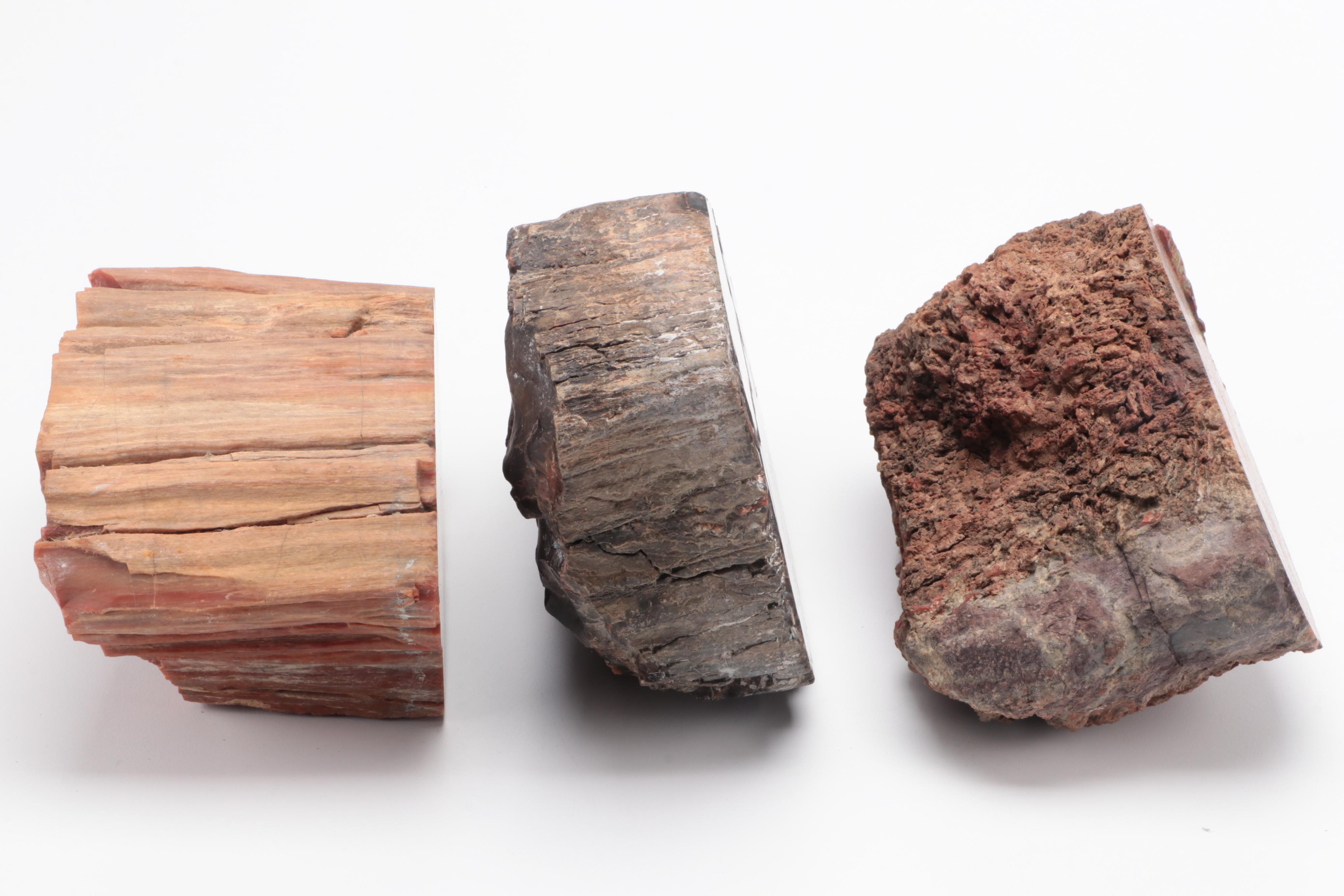 Three Polished Petrified Wood Slabs