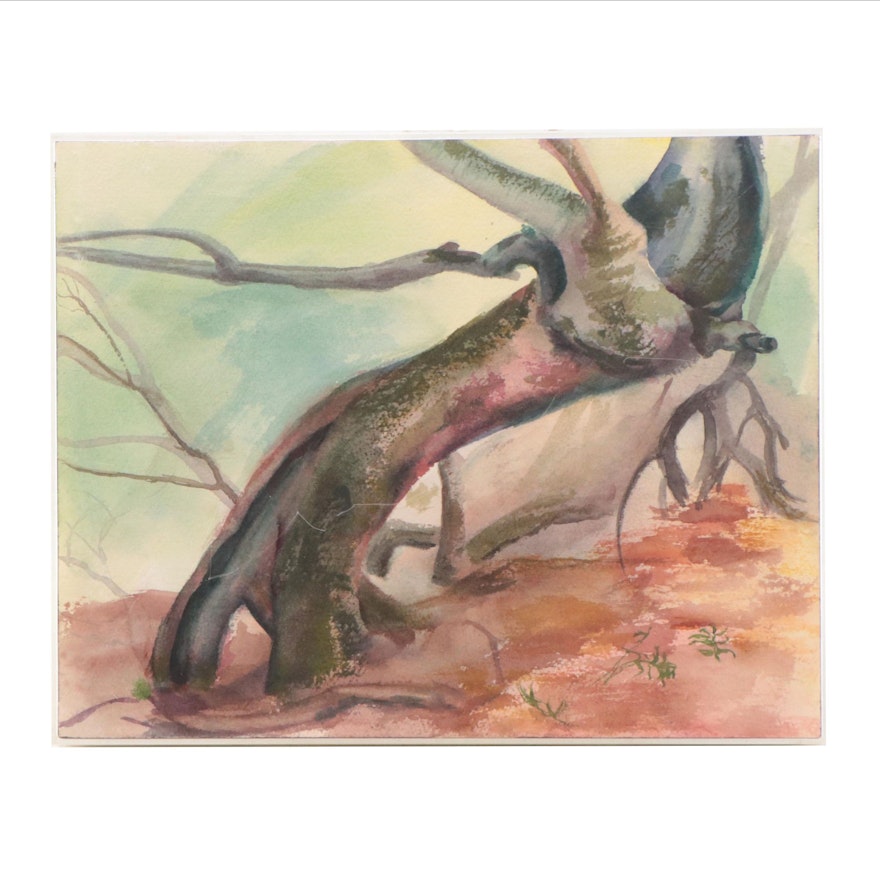 Katrina Halter Watercolor Painting of Gnarled Tree, Late 20th Century