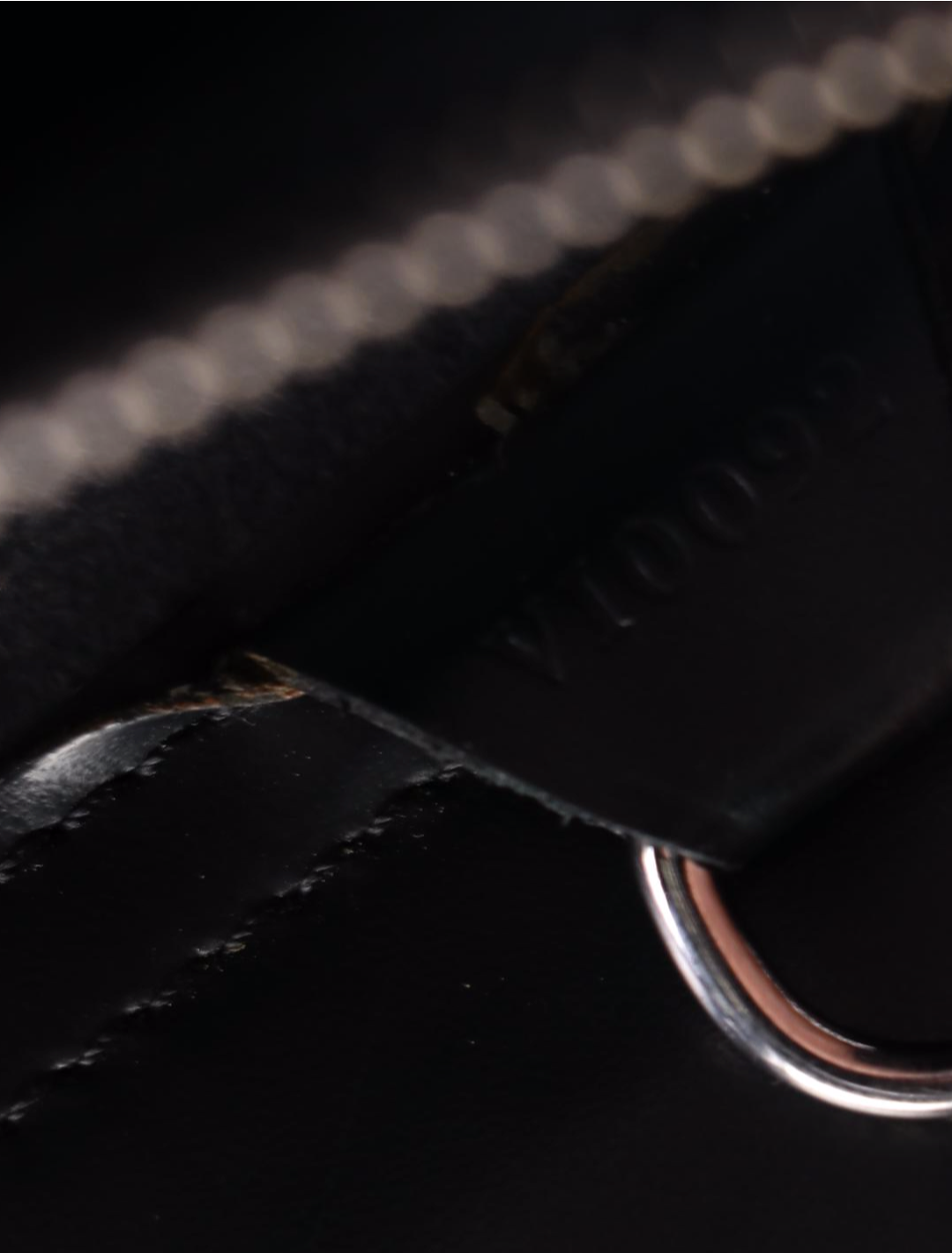 Louis Vuitton Z Gemeaux Tote in Epi and Smooth Leather