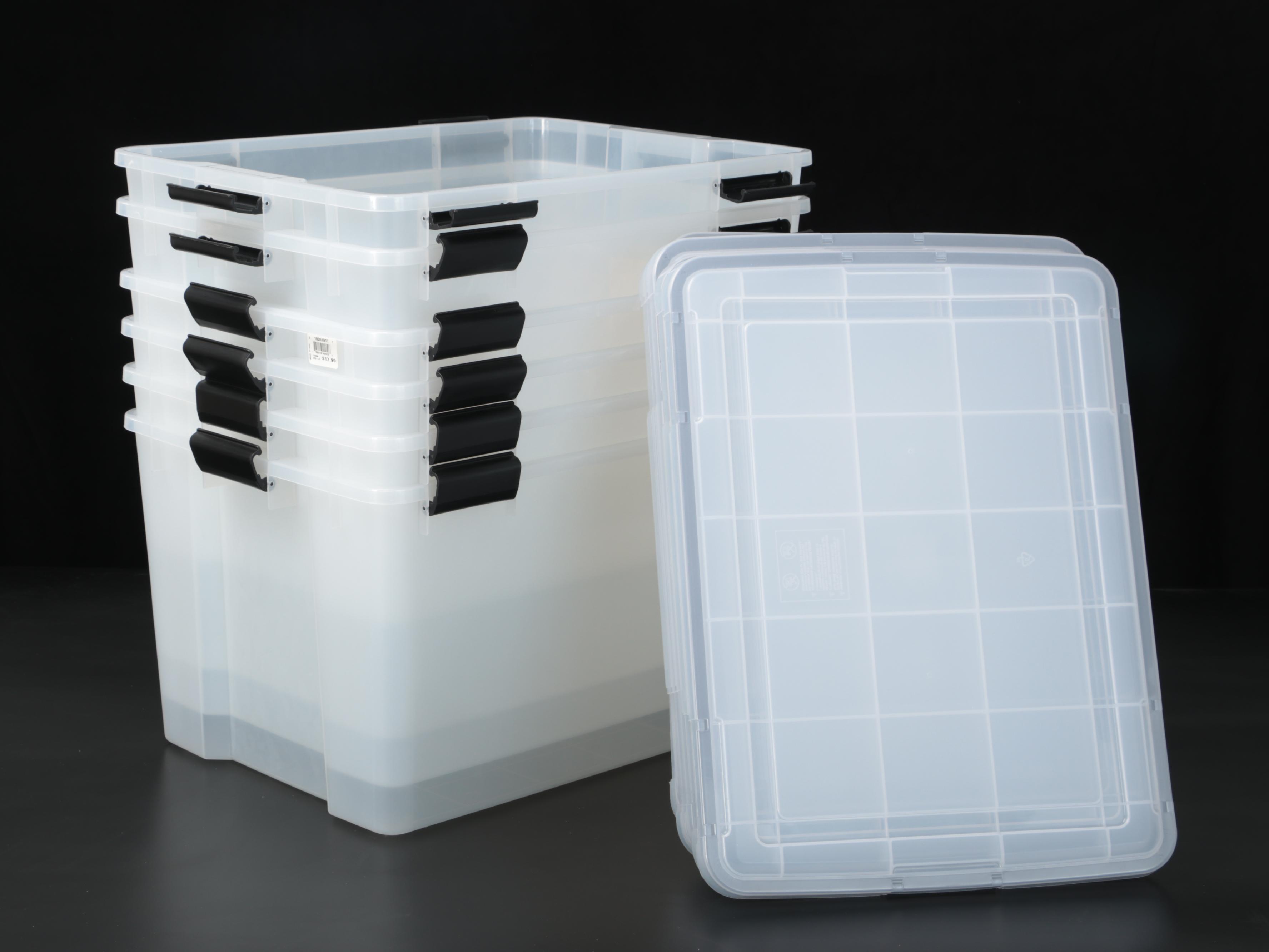 Iris Storage Totes
