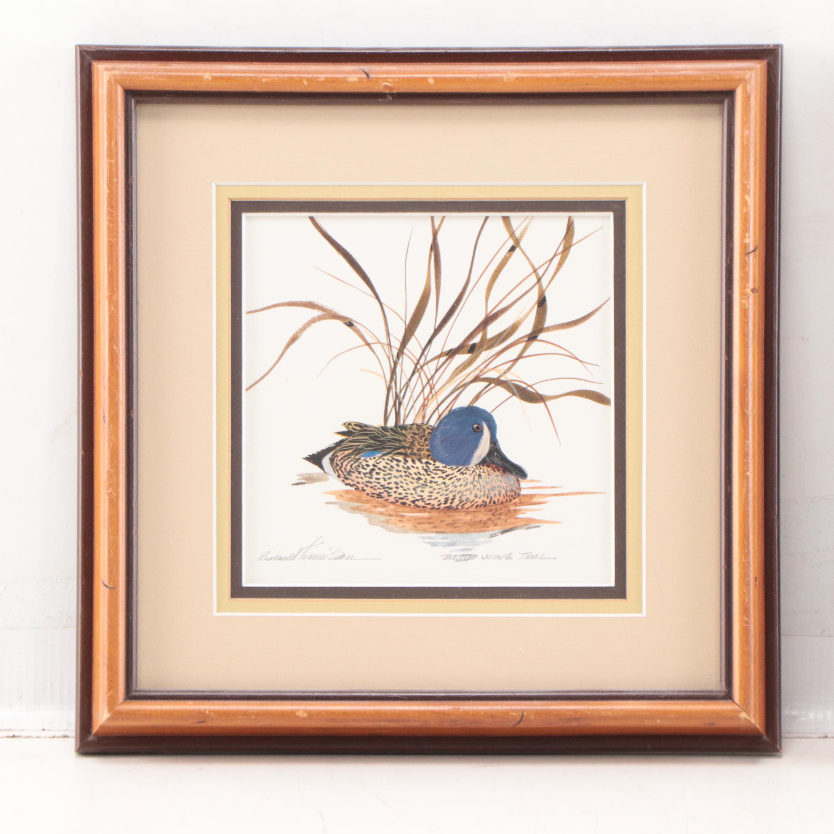 Reginald Trevisan Set of Watercolor Paintings of Ducks "Blue Wing Teal"