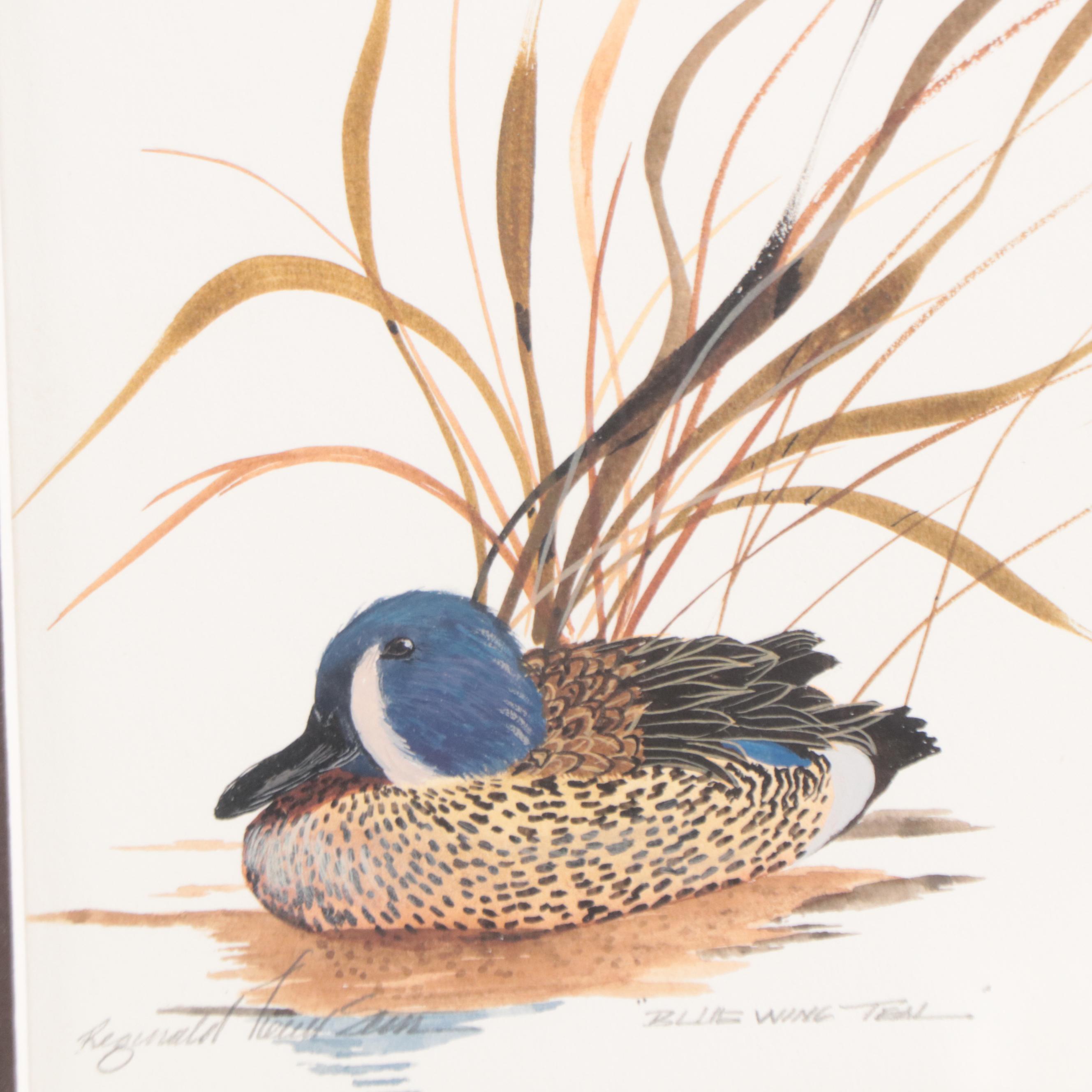 Reginald Trevisan Set of Watercolor Paintings of Ducks "Blue Wing Teal"