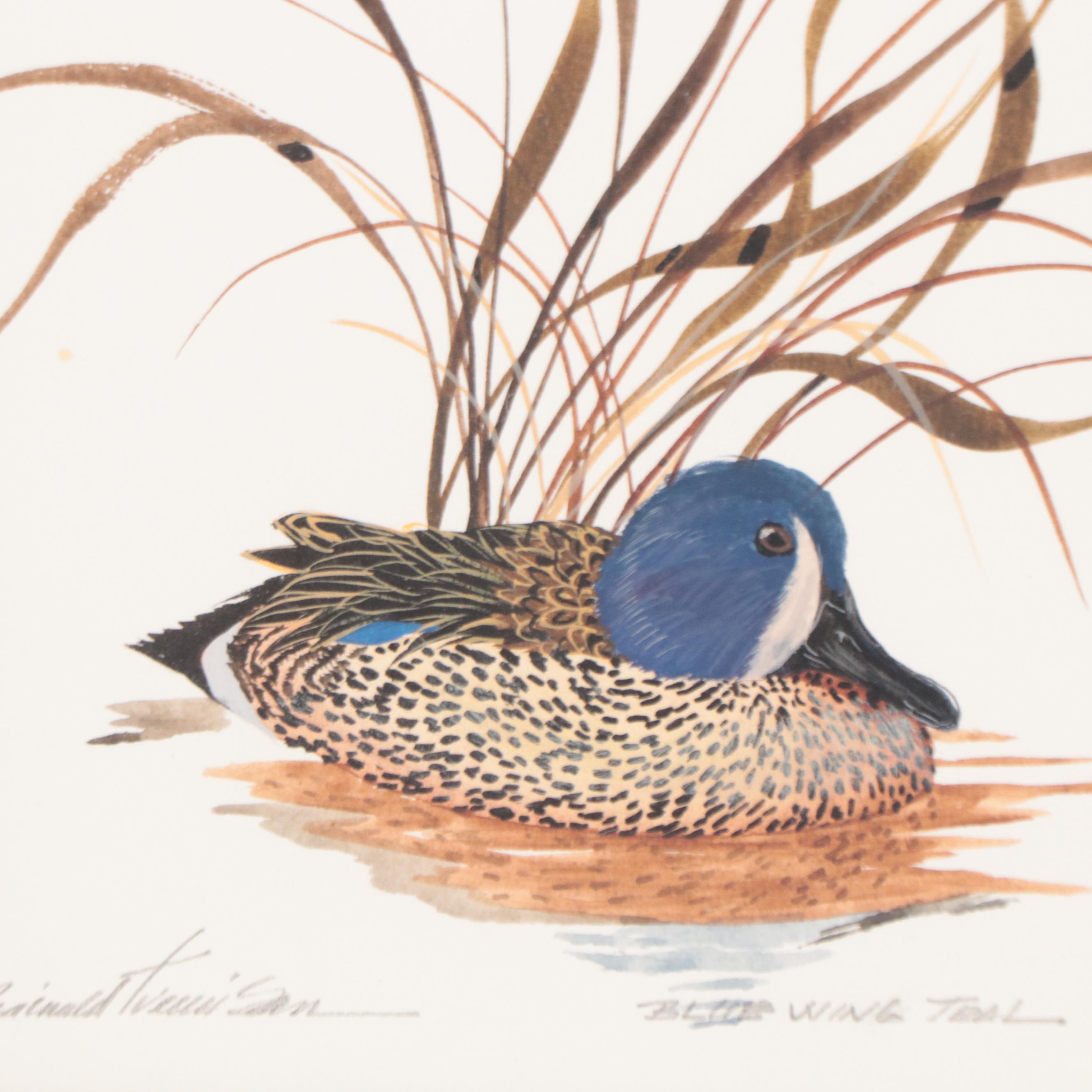 Reginald Trevisan Set of Watercolor Paintings of Ducks "Blue Wing Teal"