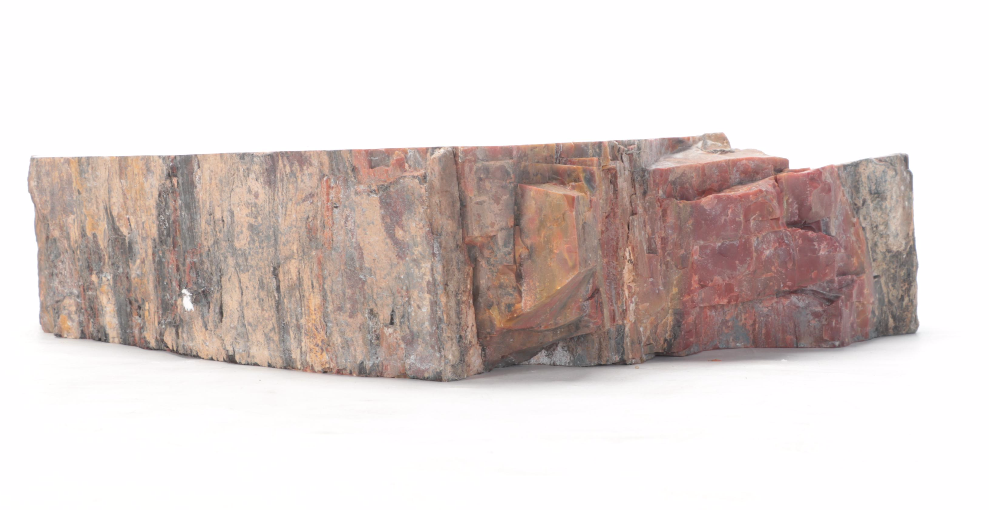 Polished Petrified Wood Slab