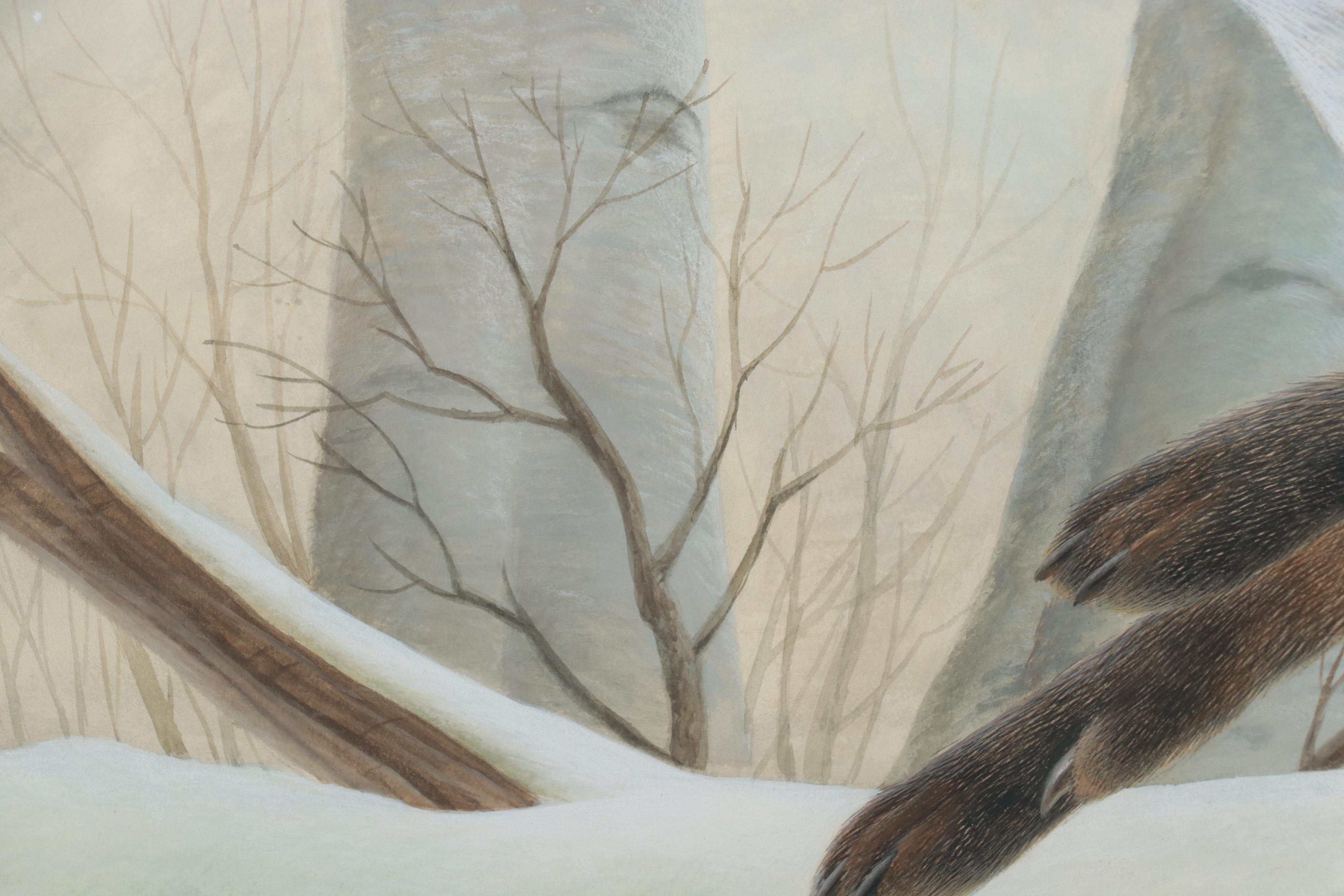 John Ruthven Watercolor Painting of Red Fox in Snow