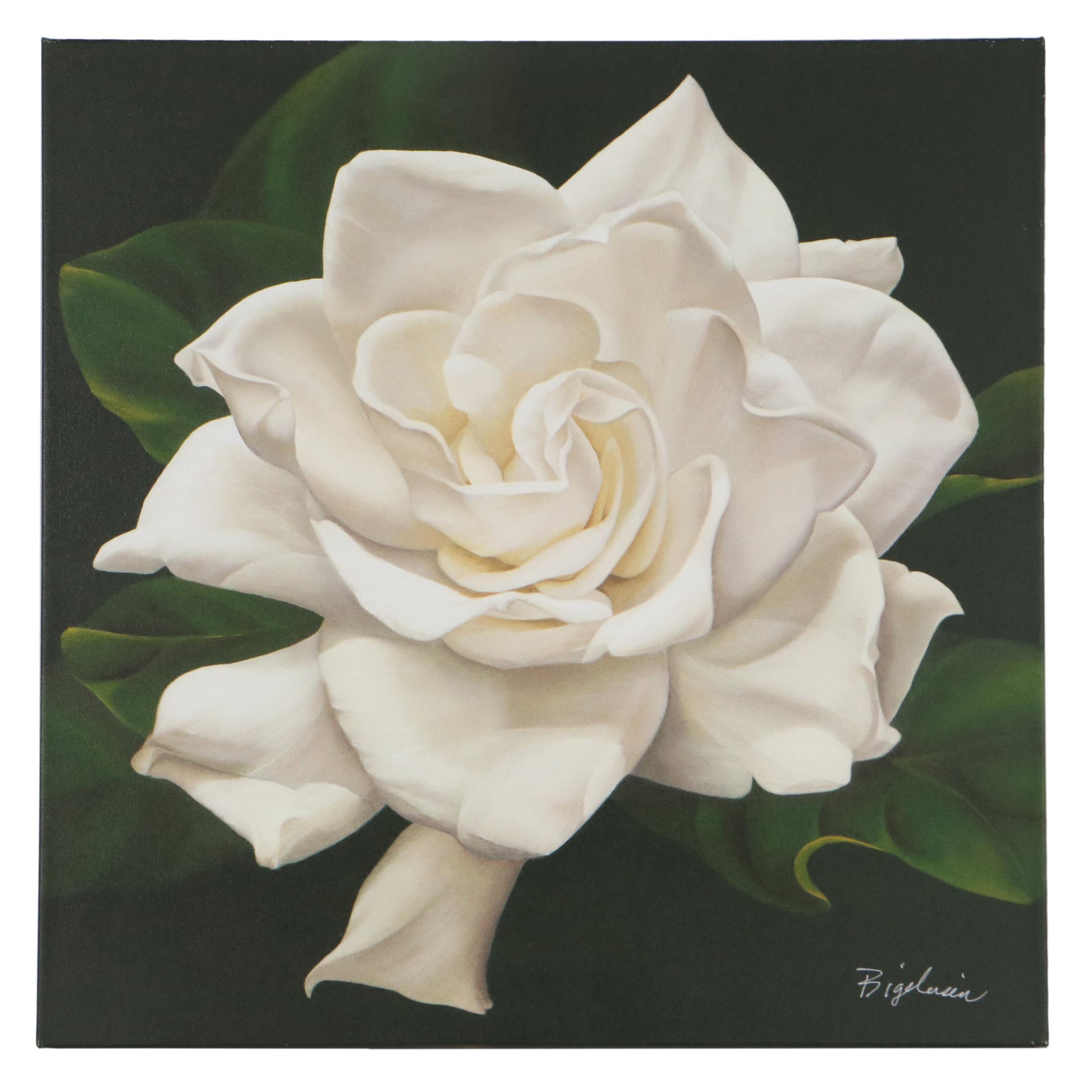 Deborah Bigeleisen Floral Giclée "Swan 4"