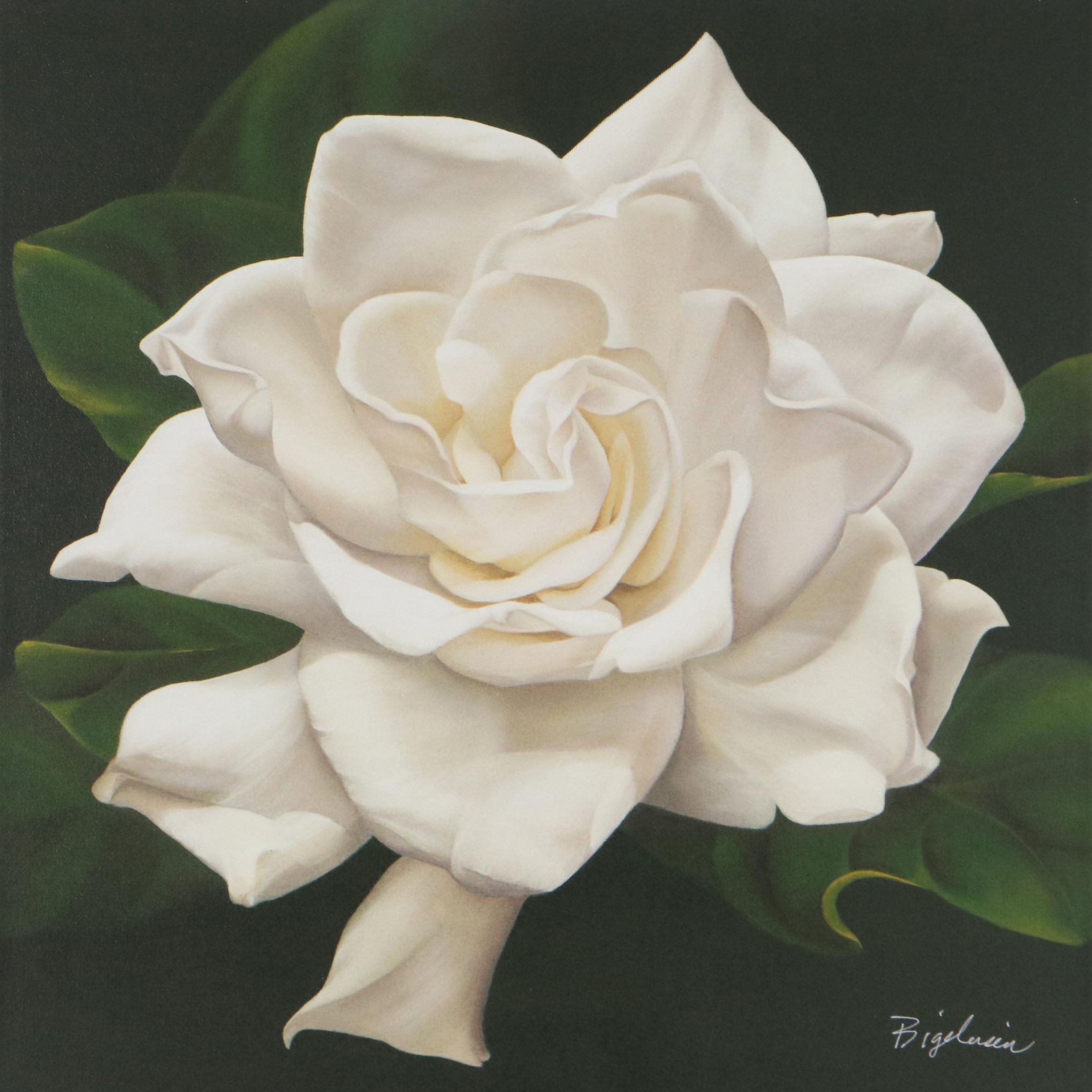 Deborah Bigeleisen Floral Giclée "Swan 4"