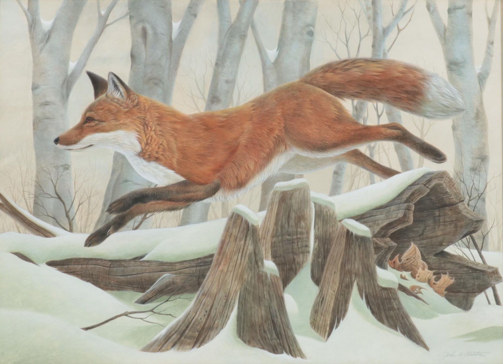 John Ruthven Watercolor Painting of Red Fox in Snow