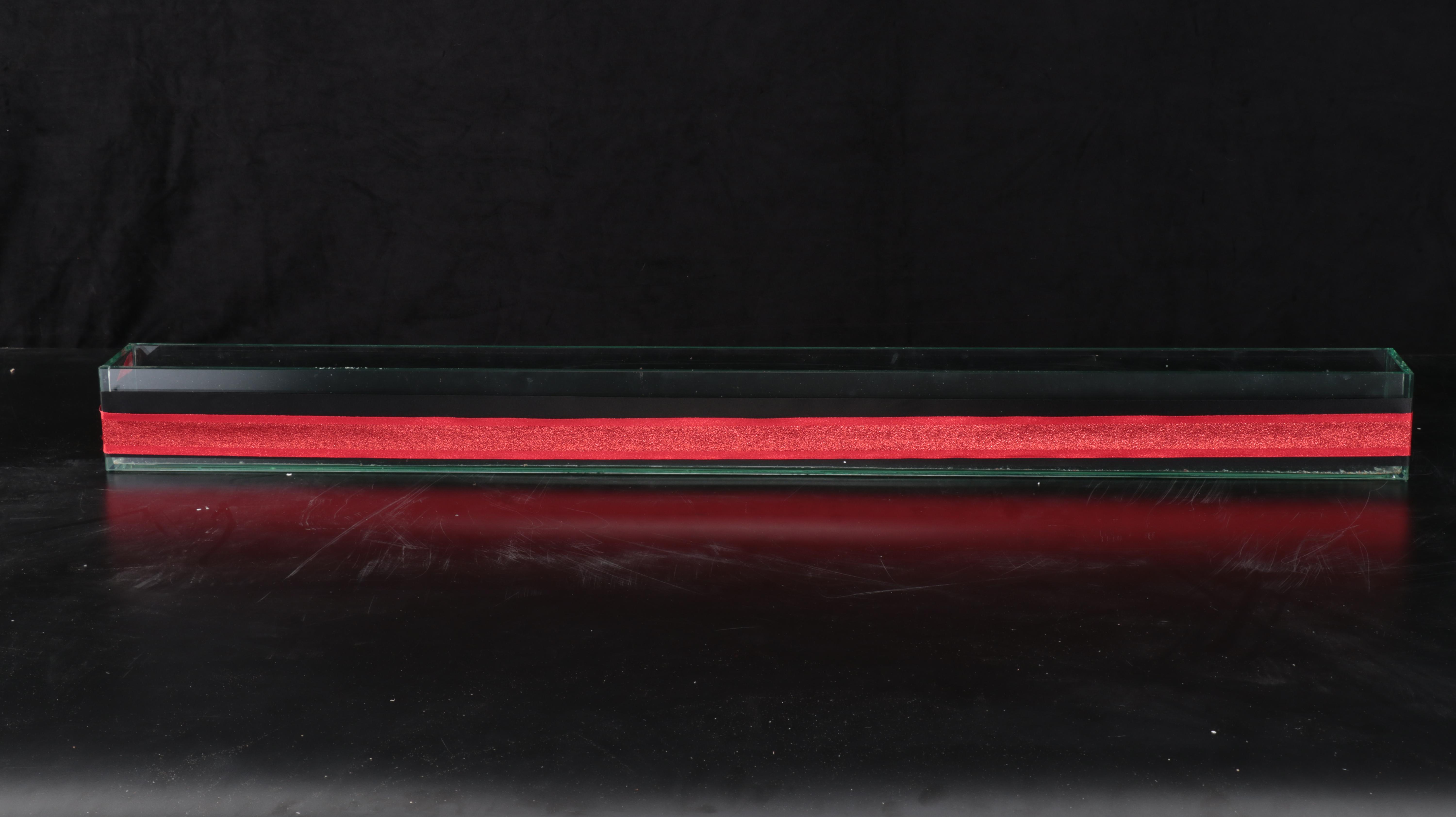 Accent Decor Clear Glass Planters