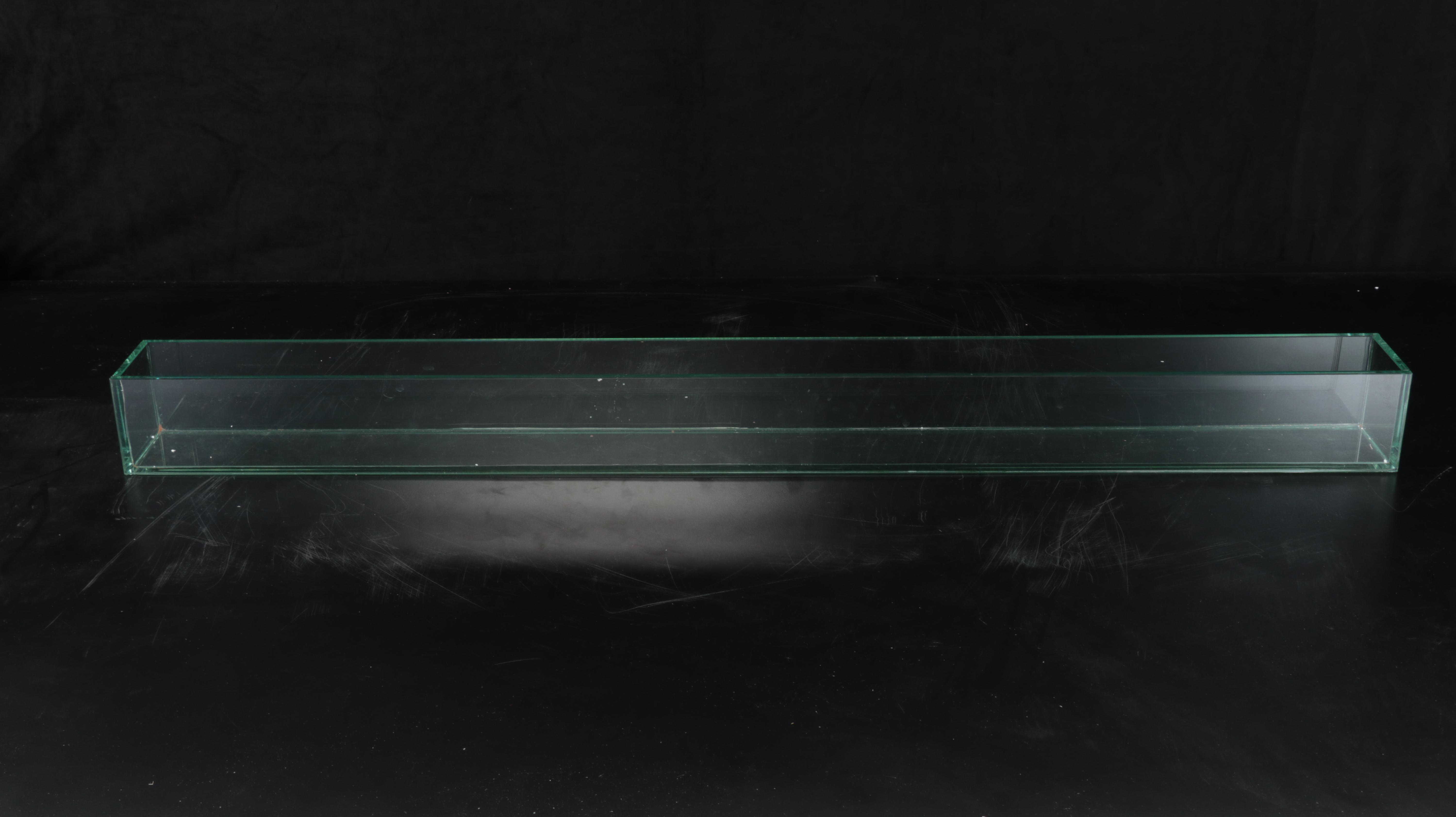 Accent Decor Clear Glass Planters