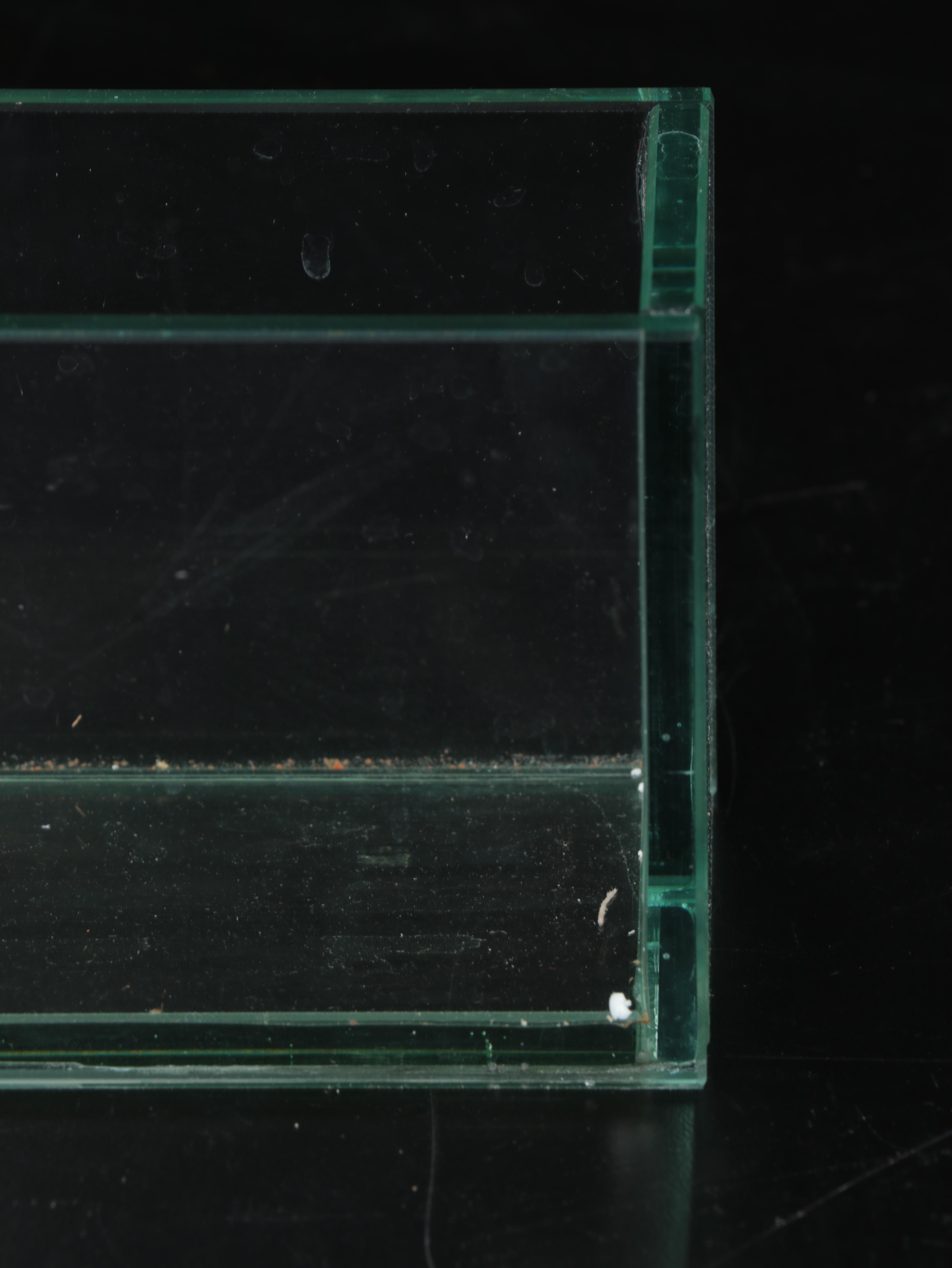 Accent Decor Clear Glass Planters