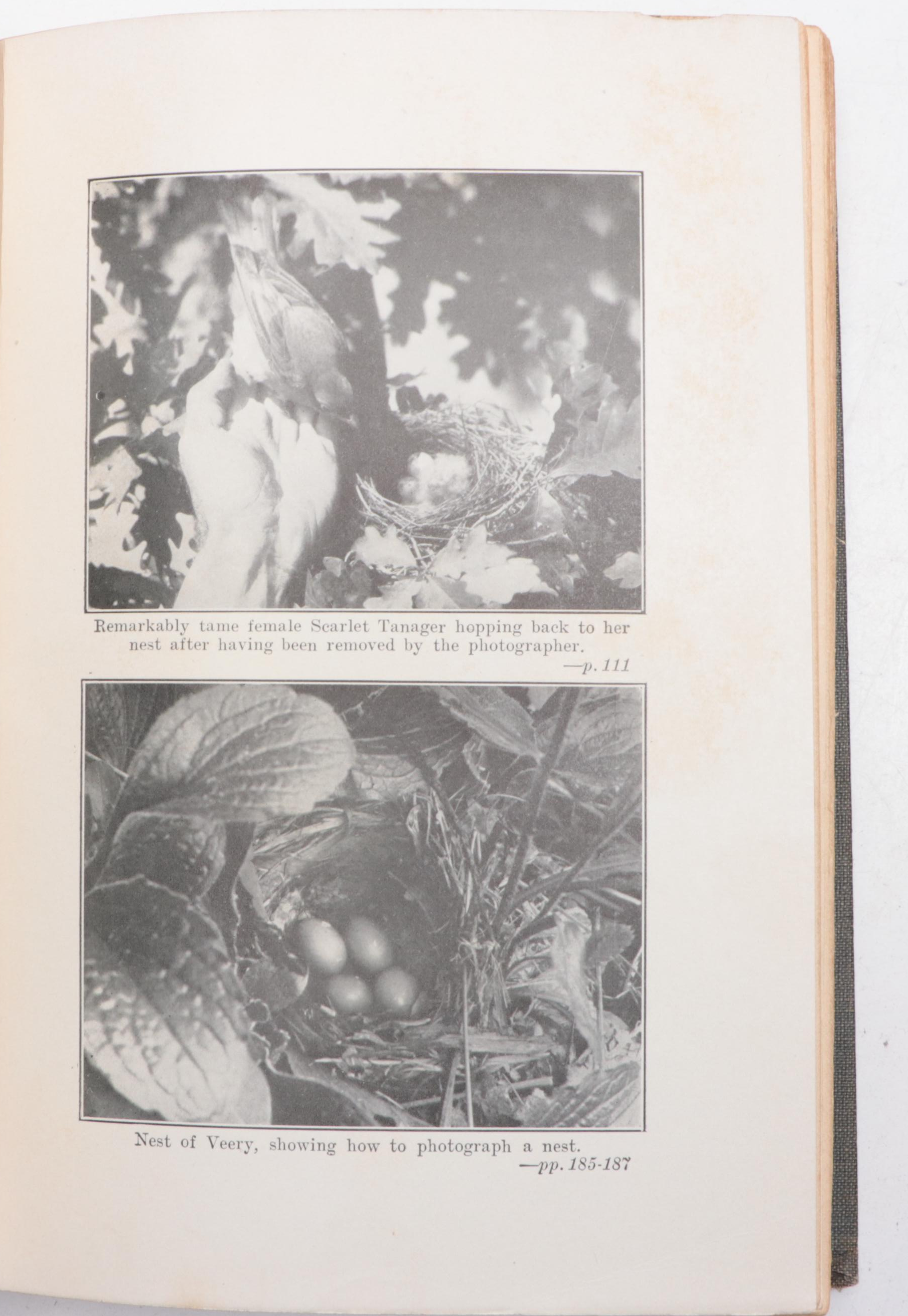 First Edition "American Birds" by William Lovell Finley and More