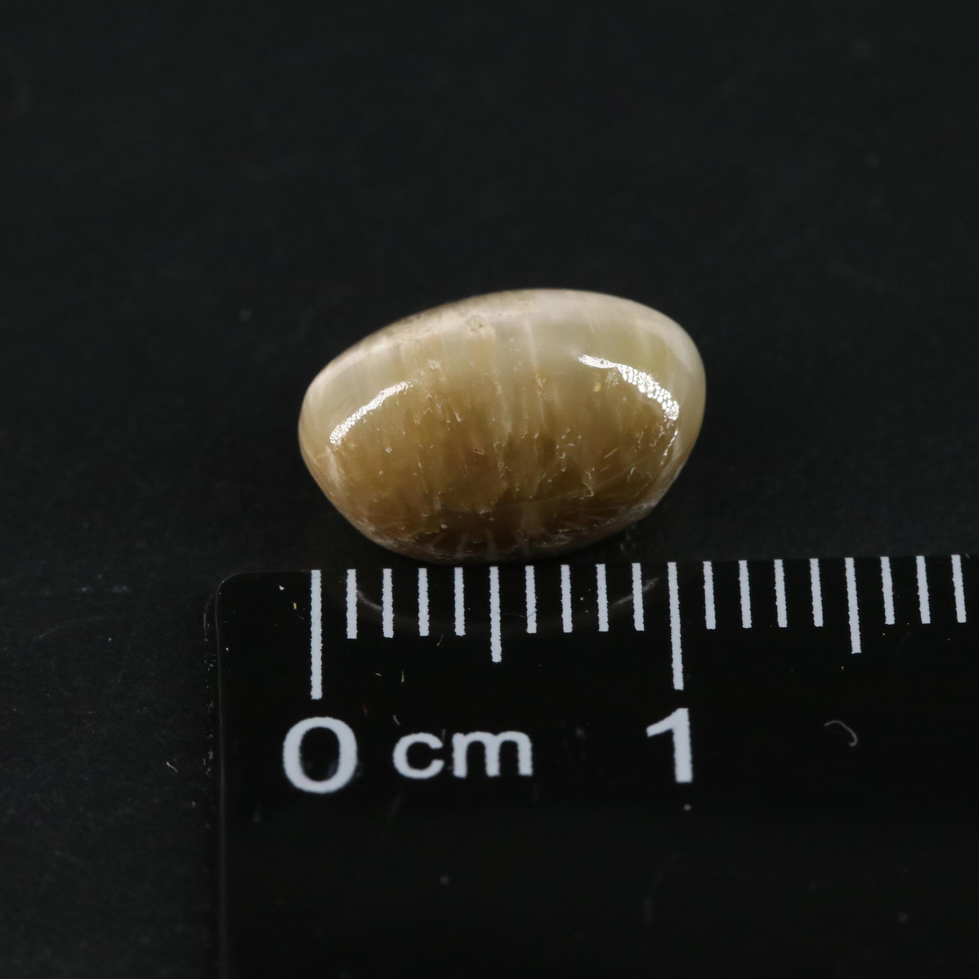 Loose 4.45 CT Cat Eye Quartz