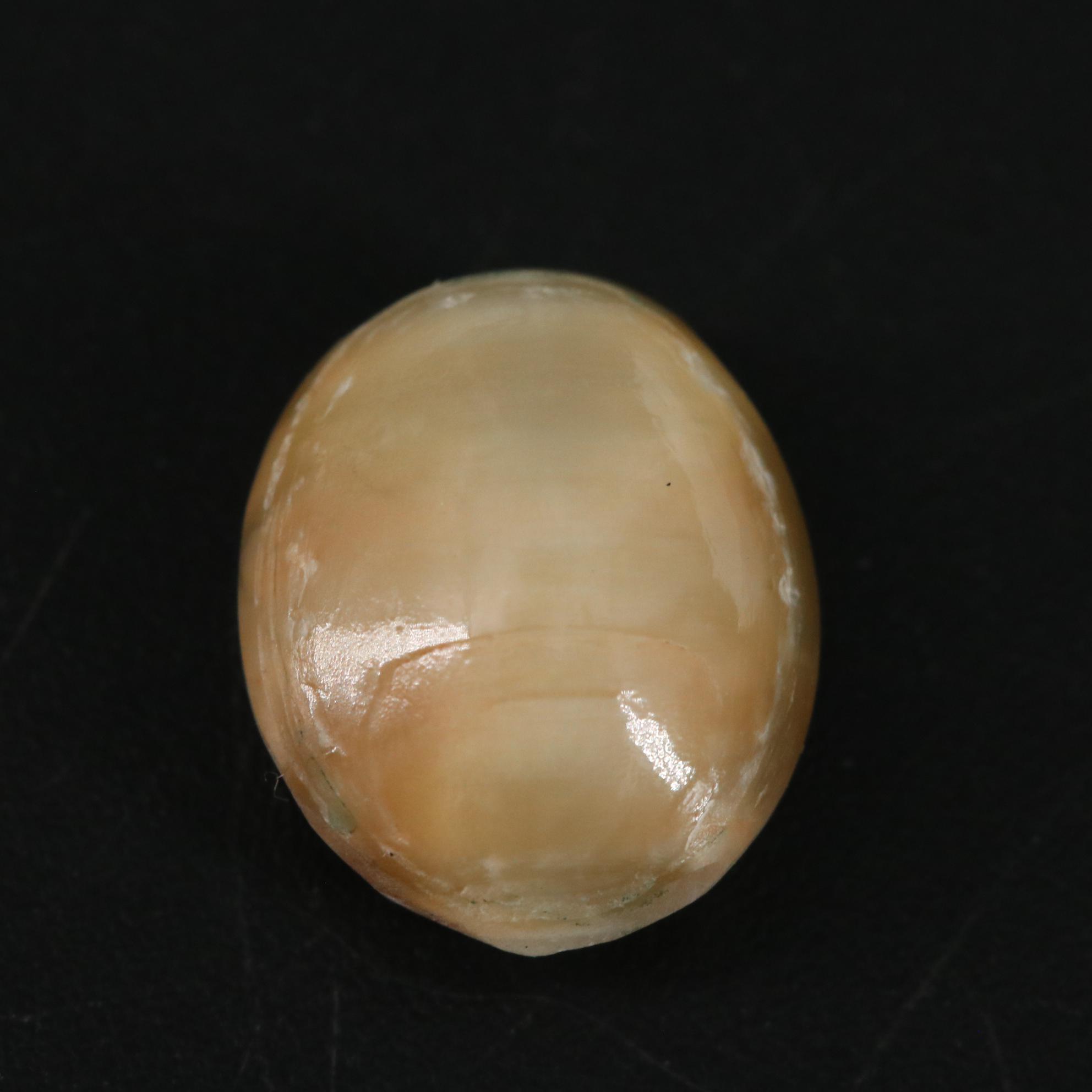 Loose 4.45 CT Cat's Eye Quartz