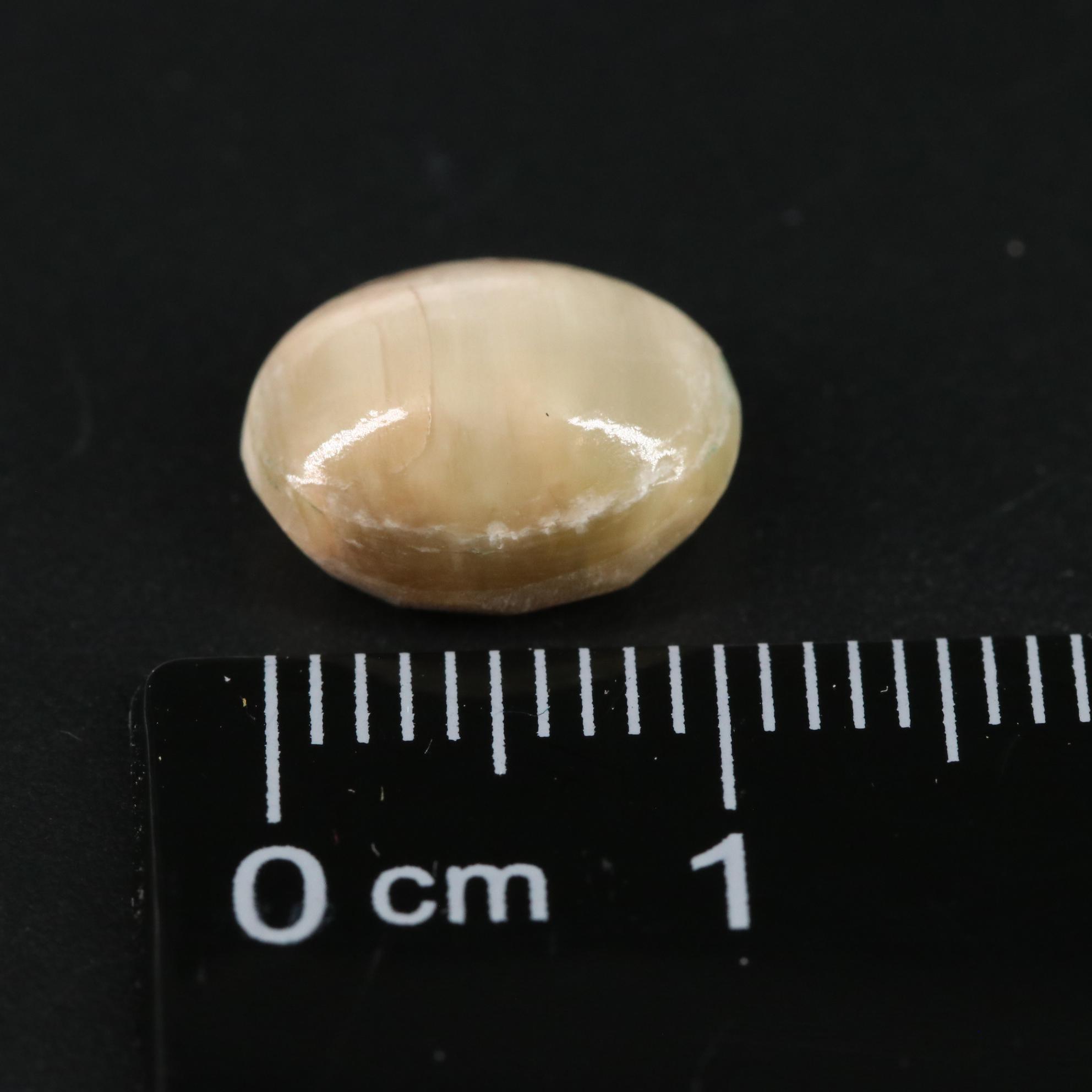 Loose 4.45 CT Cat's Eye Quartz