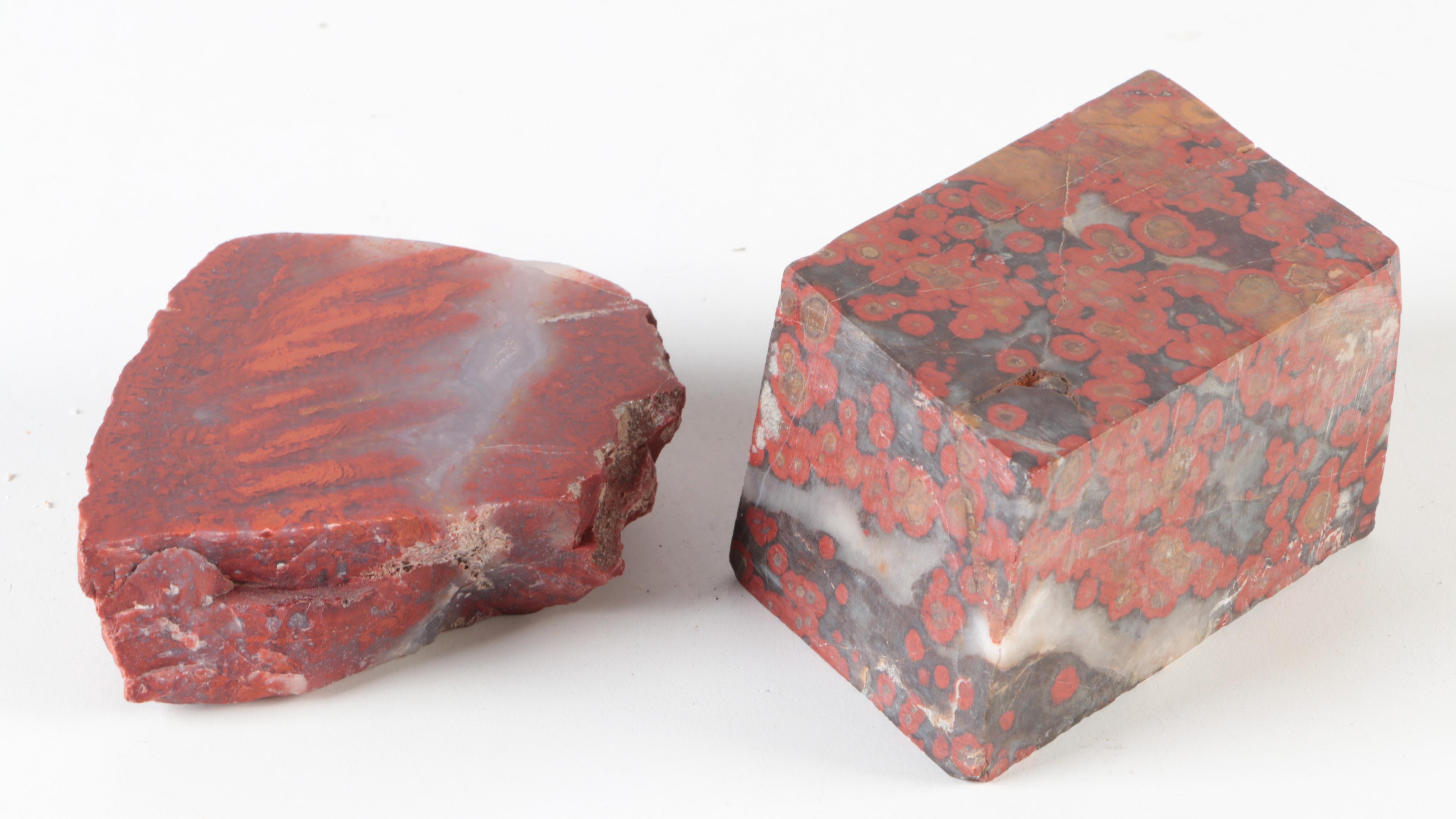 Carnelian Agate, Banded Agate and Petrified Wood Specimens