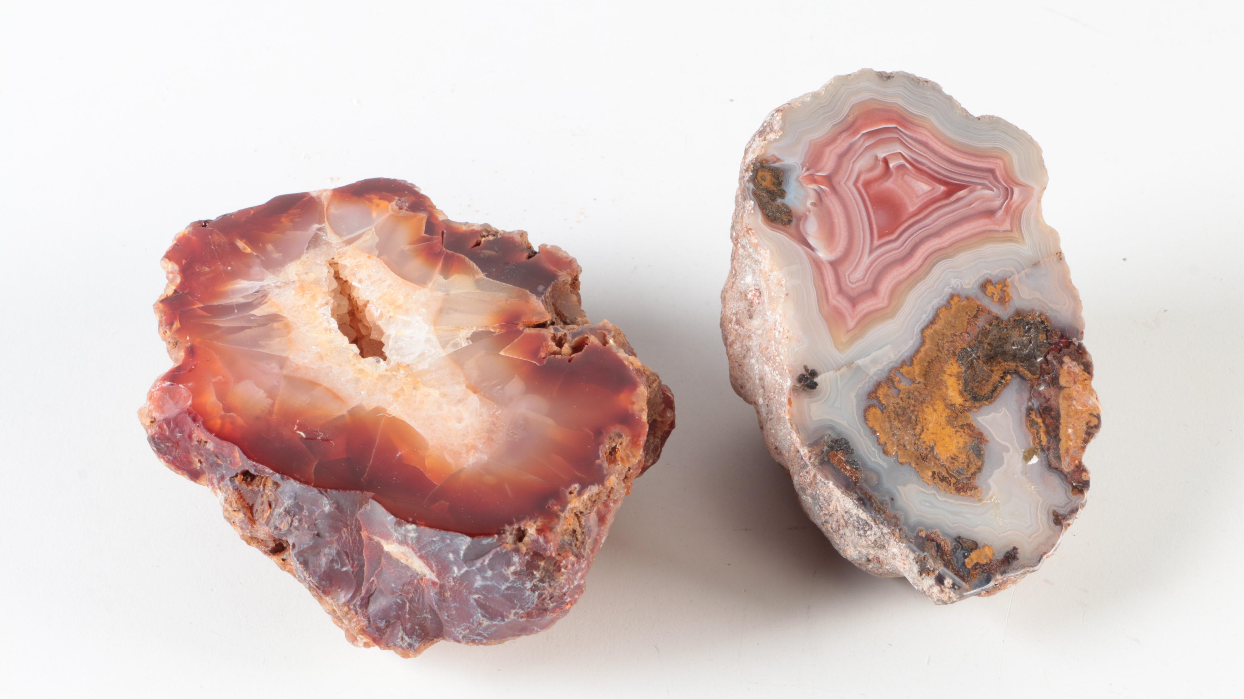 Carnelian Agate, Banded Agate and Petrified Wood Specimens