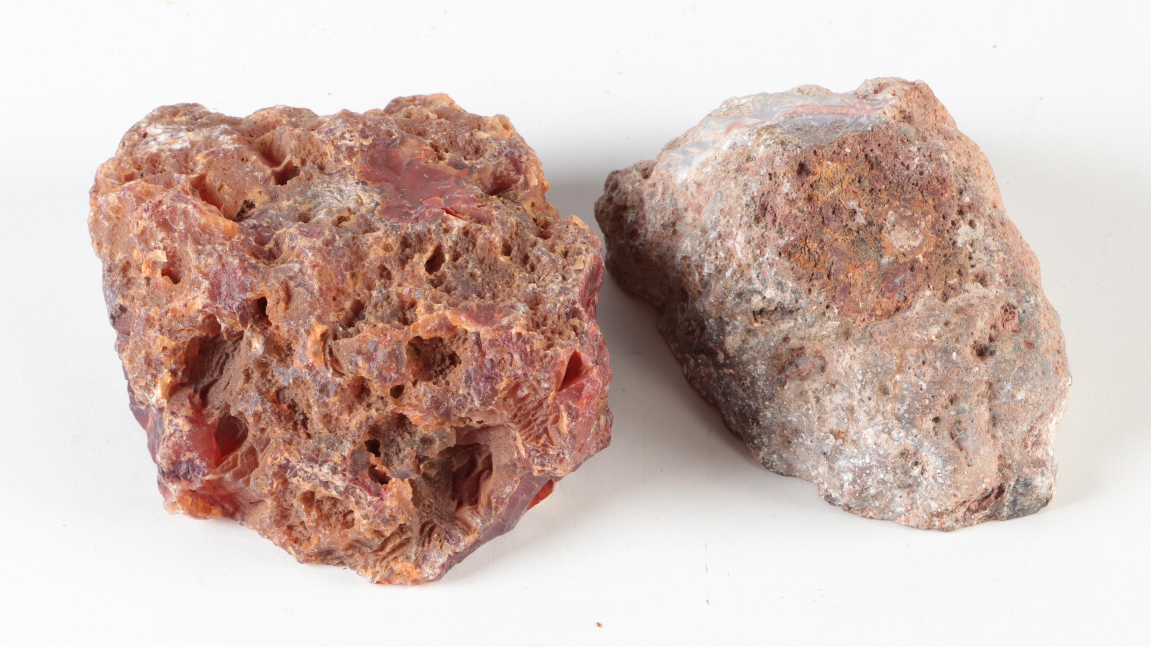 Carnelian Agate, Banded Agate and Petrified Wood Specimens