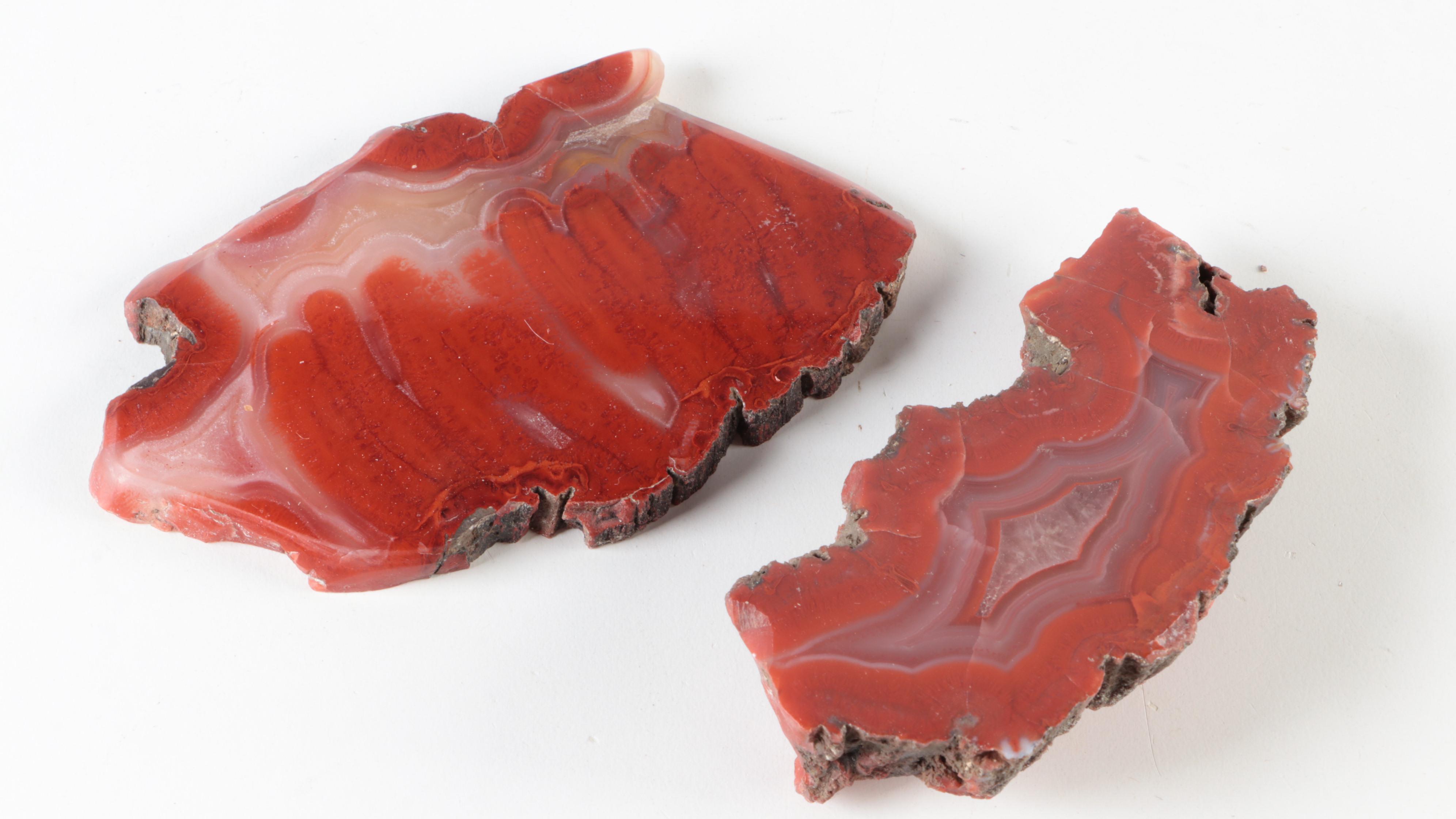 Carnelian Agate, Banded Agate and Petrified Wood Specimens