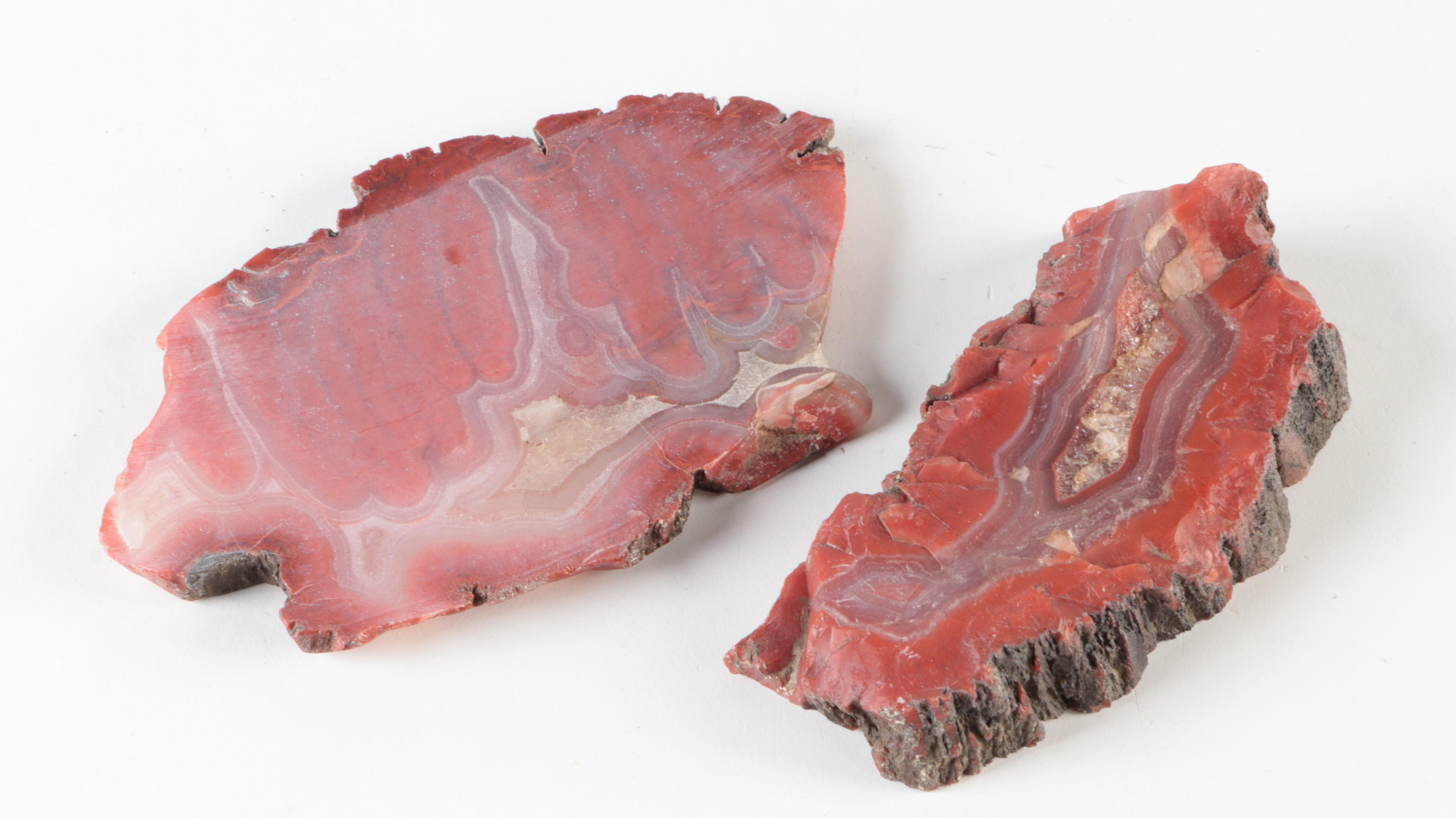 Carnelian Agate, Banded Agate and Petrified Wood Specimens