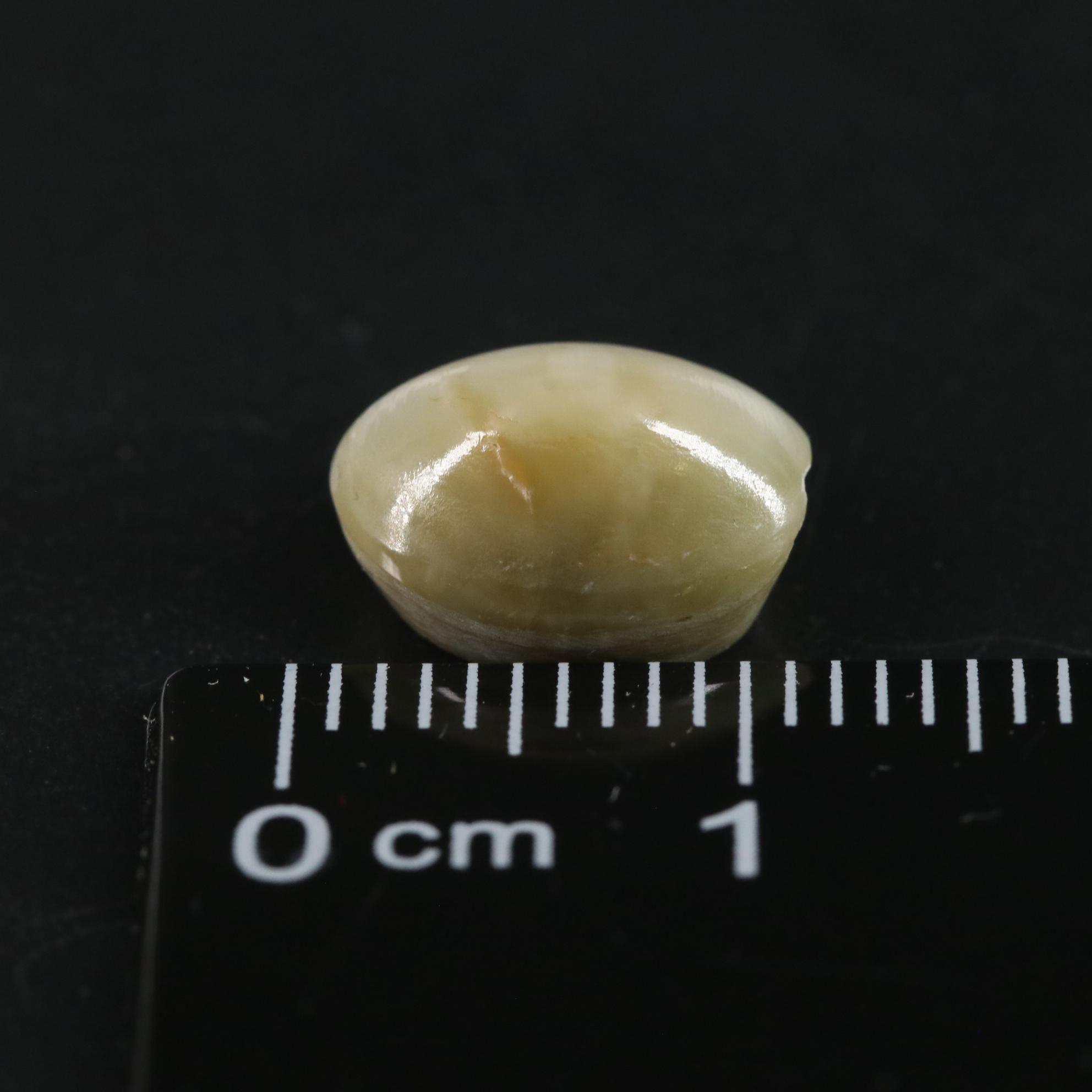 Loose 4.55 CT Cat's Eye Quartz