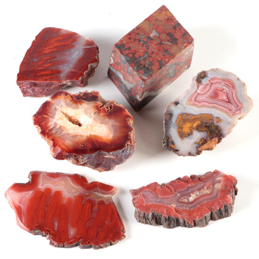 Carnelian Agate, Banded Agate and Petrified Wood Specimens