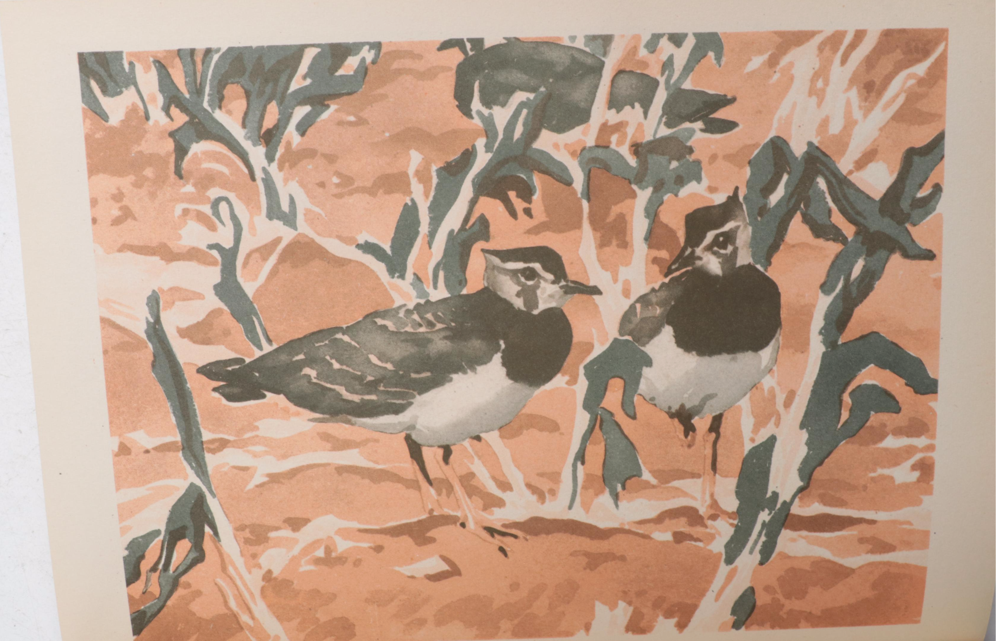 First UK Edition "Bird Life and the Painter" by R. B. T. Kelly and More Books