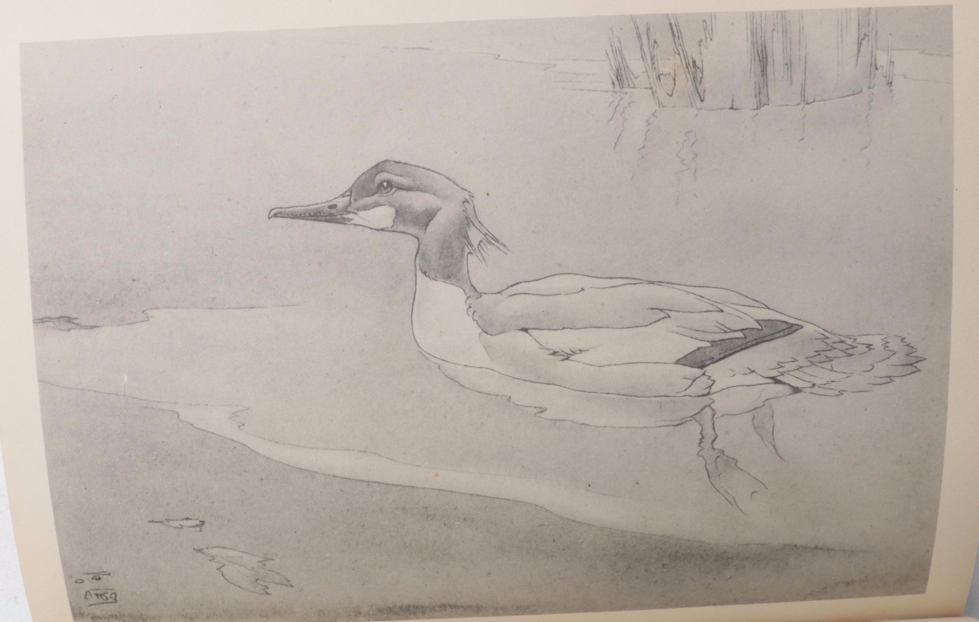 First UK Edition "Bird Life and the Painter" by R. B. T. Kelly and More Books