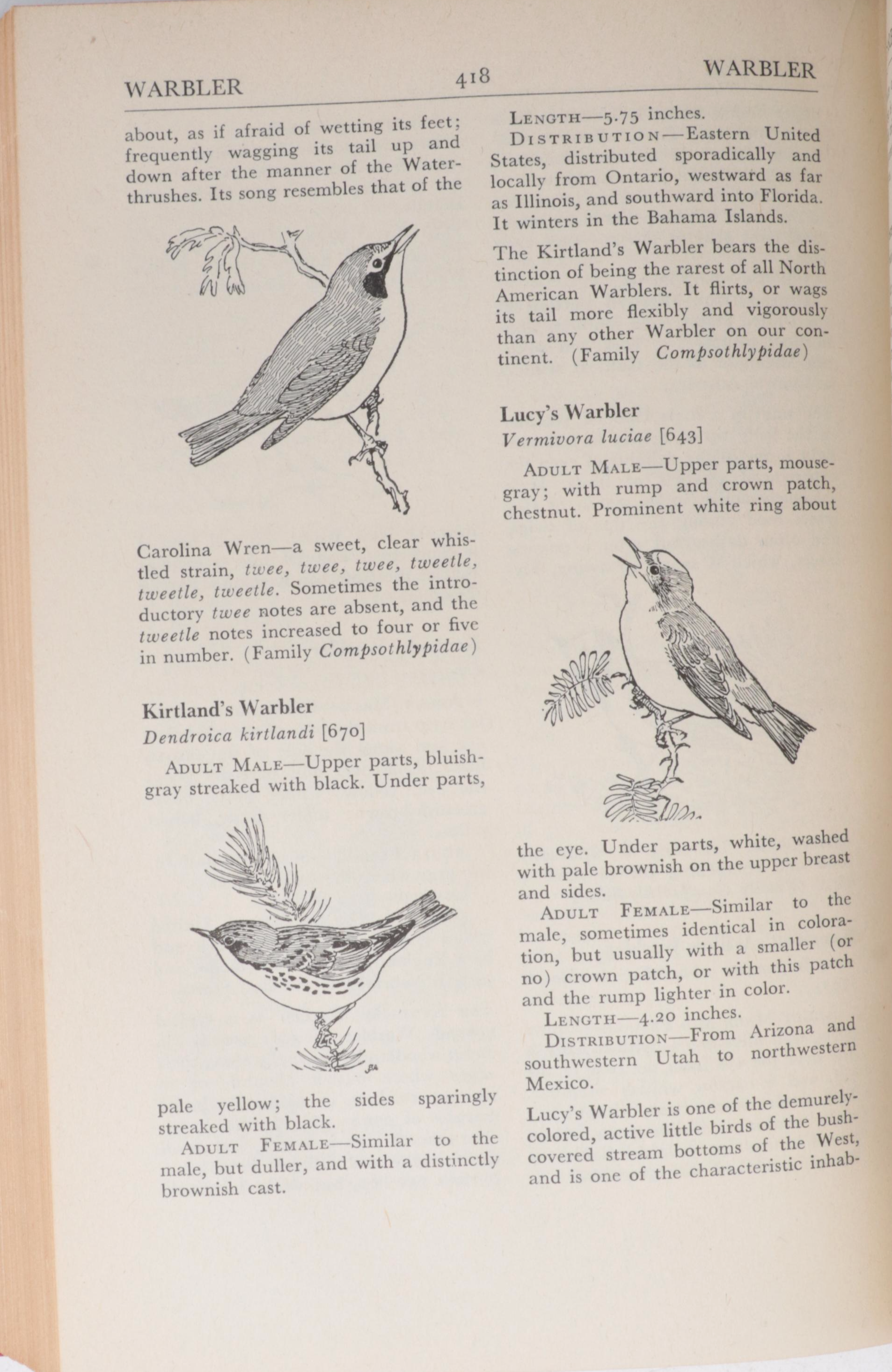 First UK Edition "Bird Life and the Painter" by R. B. T. Kelly and More Books