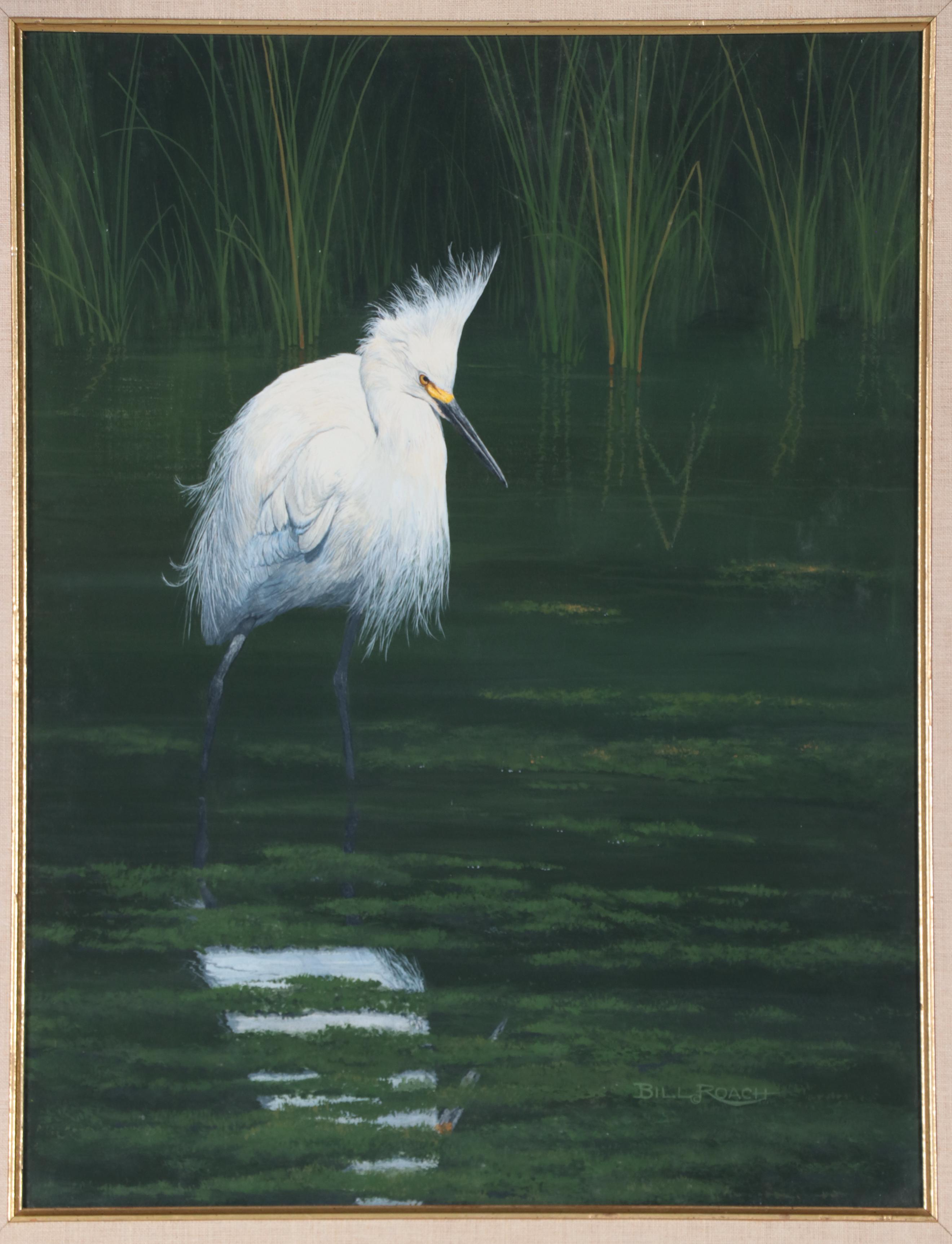 Bill Roach Watercolor Painting of Snowy Egret