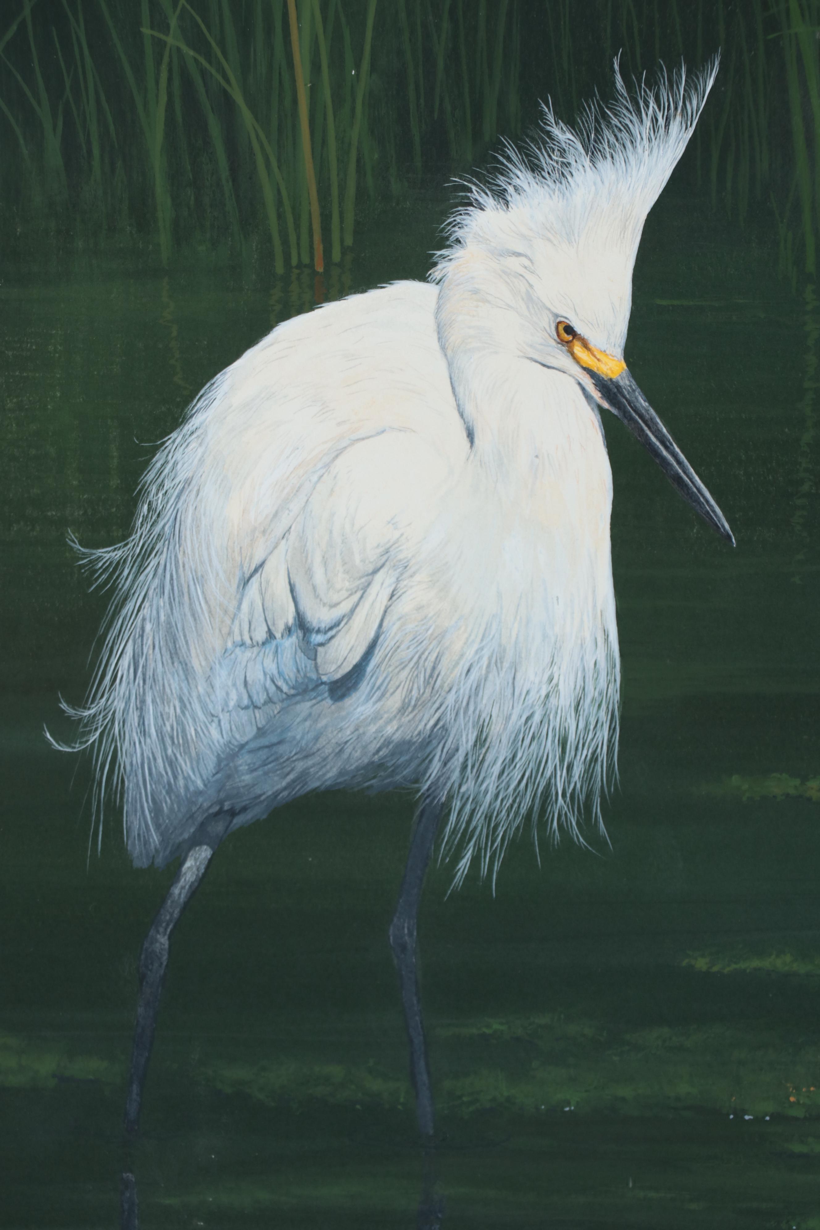Bill Roach Watercolor Painting of Snowy Egret