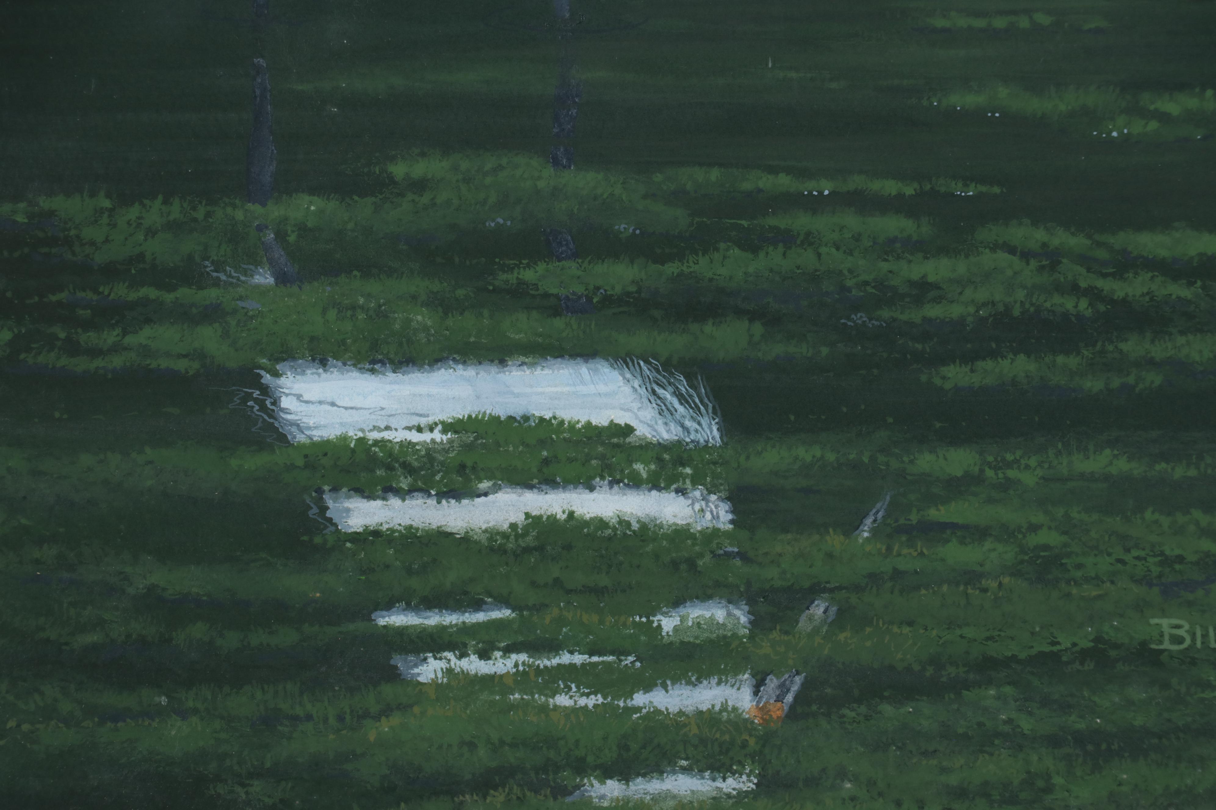 Bill Roach Watercolor Painting of Snowy Egret