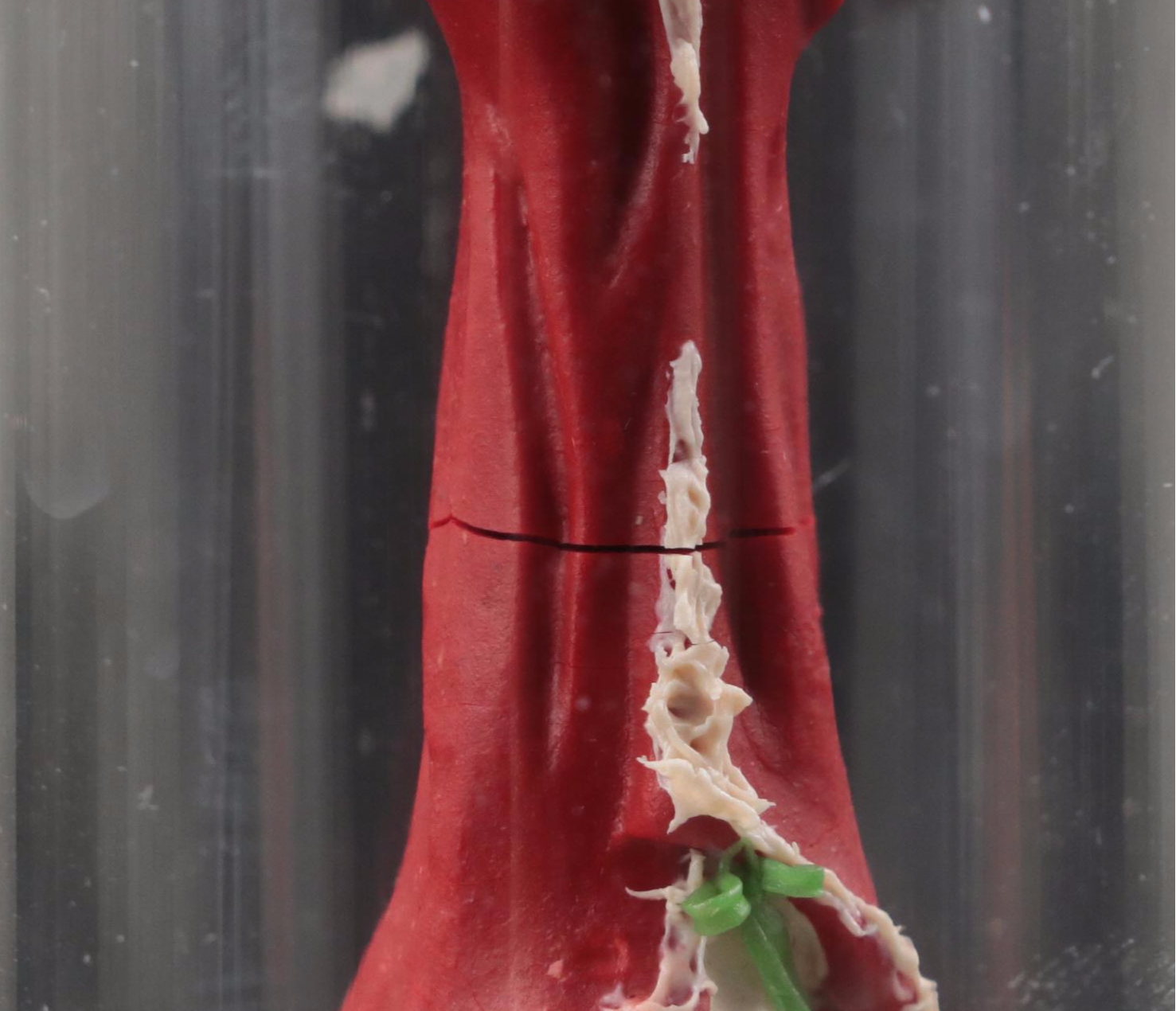 Chinese Clay Figurines in Glass Cloches