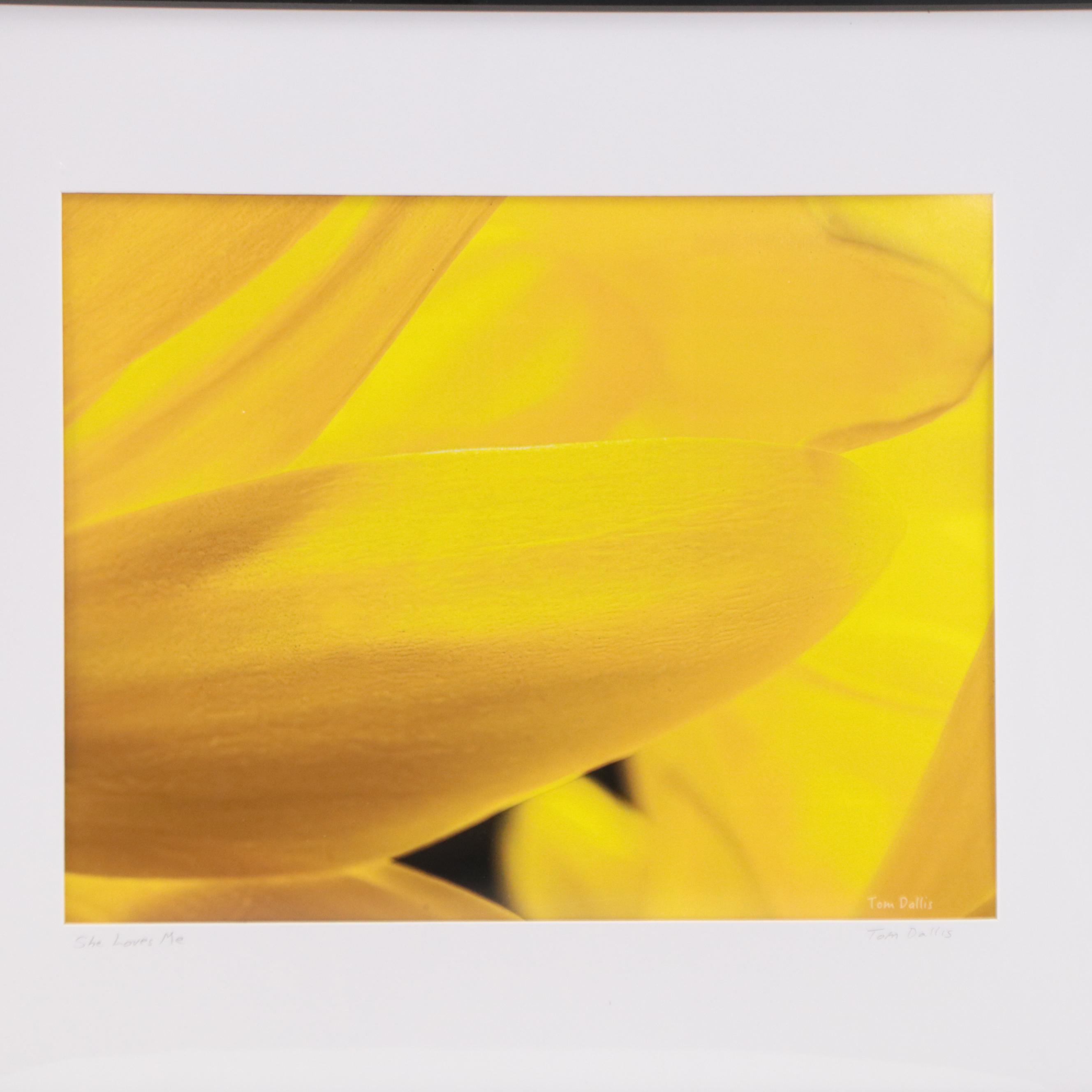 Tom Dallis Digital Photograph of a Flower "She Loves Me"