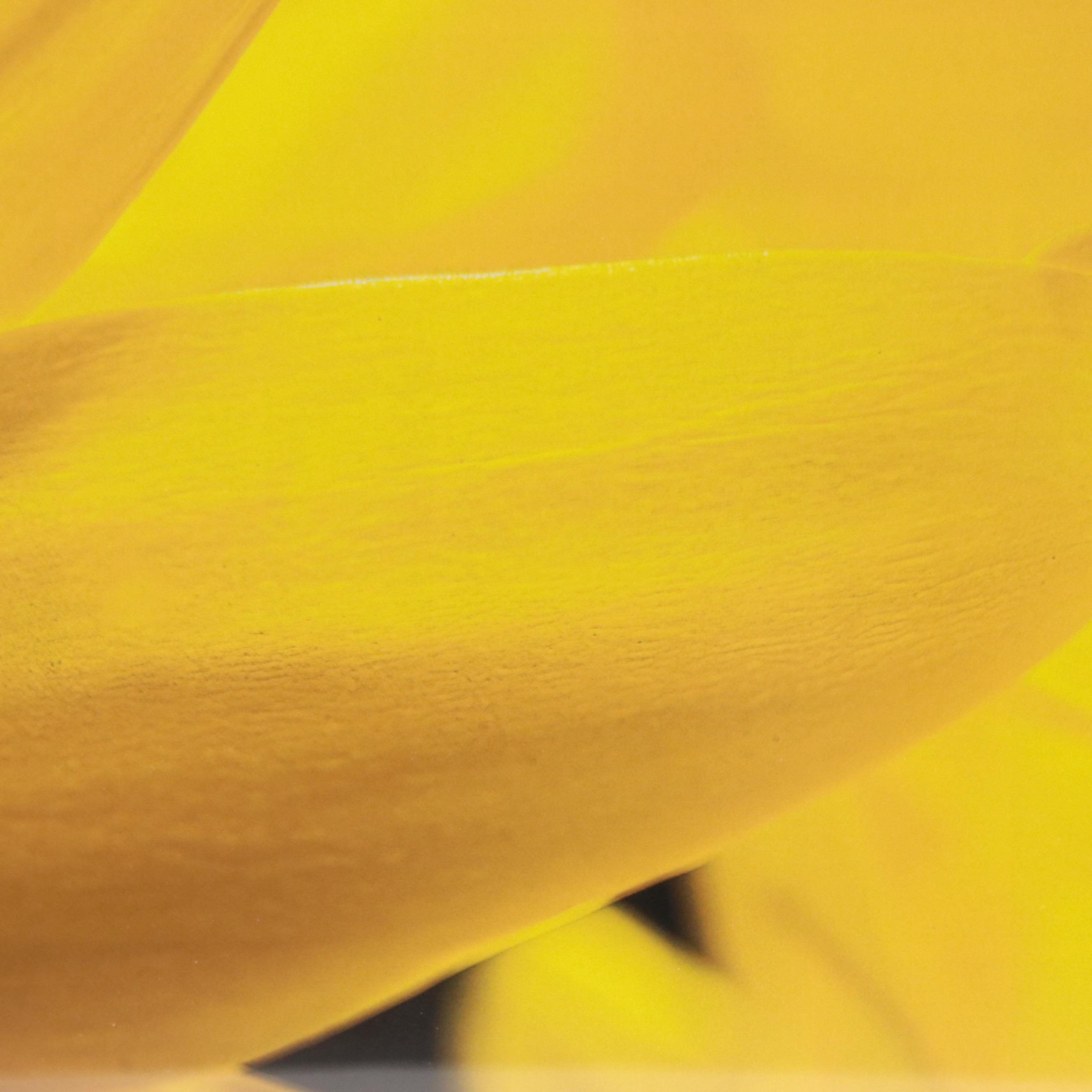 Tom Dallis Digital Photograph of a Flower "She Loves Me"