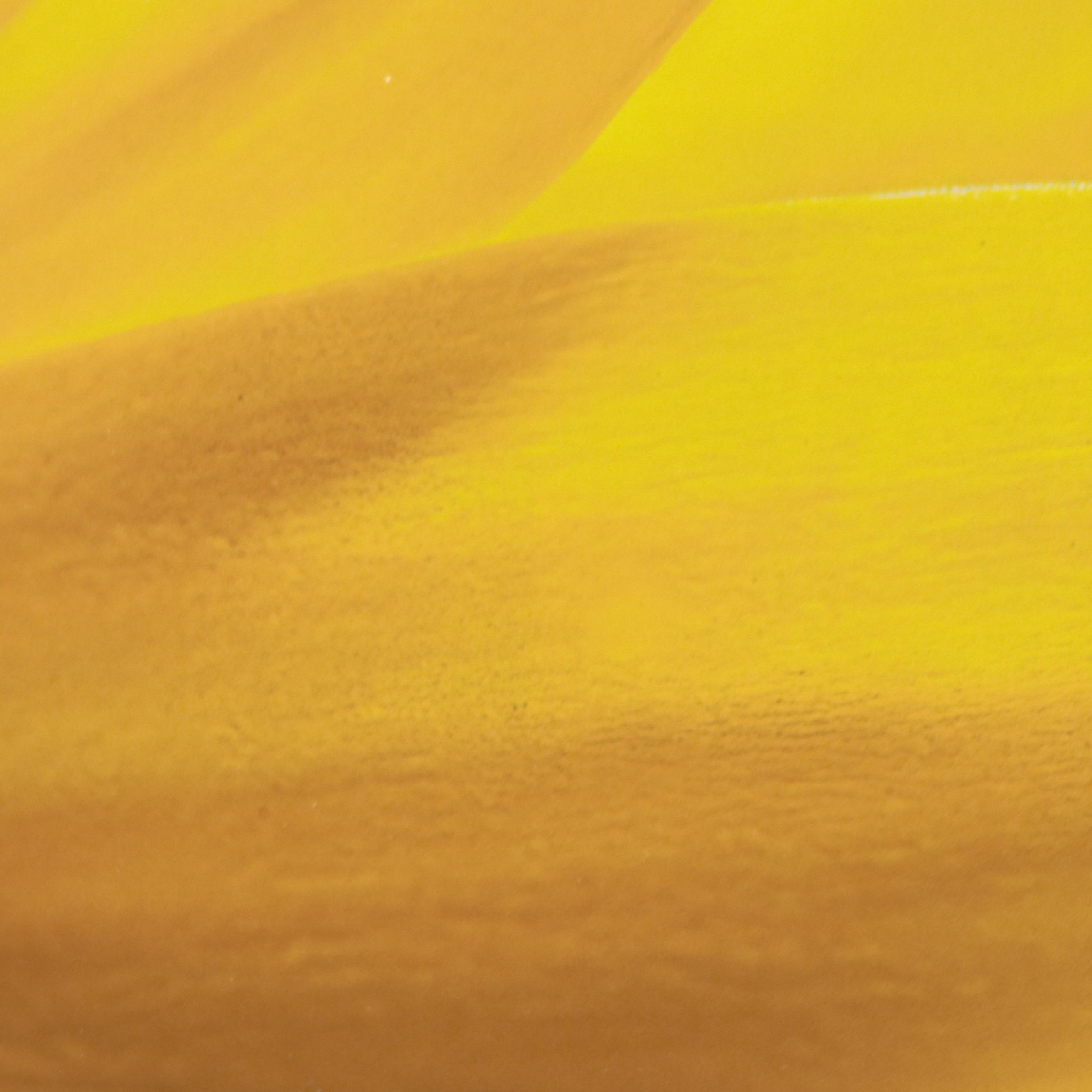 Tom Dallis Digital Photograph of a Flower "She Loves Me"