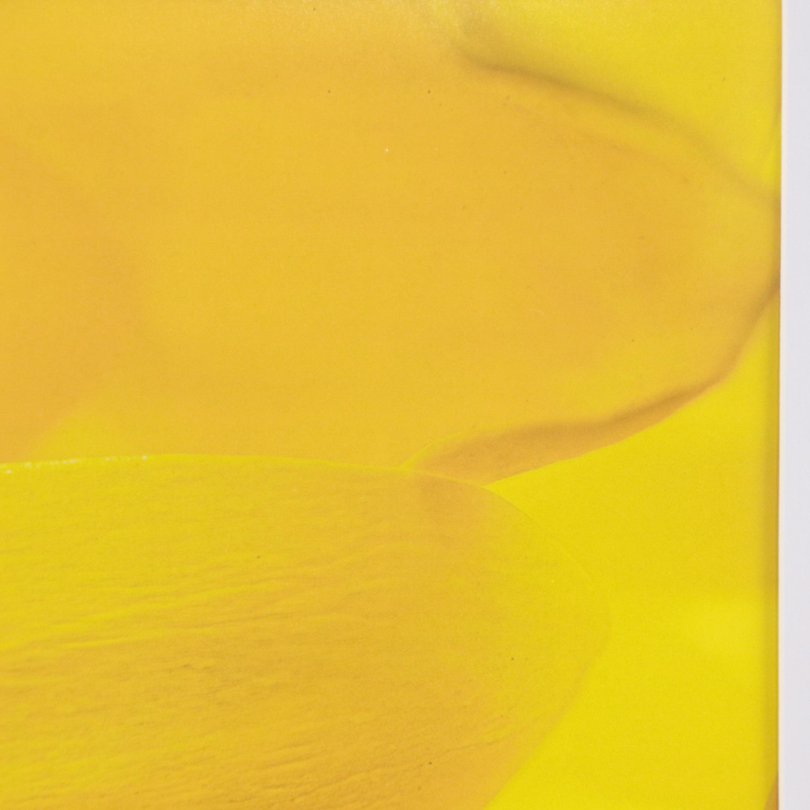 Tom Dallis Digital Photograph of a Flower "She Loves Me"